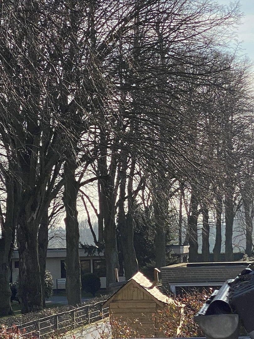 Prenájom domu 157 m², pozemek 150 m², Düsseldorf, Severné Porýnie - Westfálsko Prenájom domu 157 m², pozemek 150 m², Düsseldorf, Severné Porýnie - Westfálsko