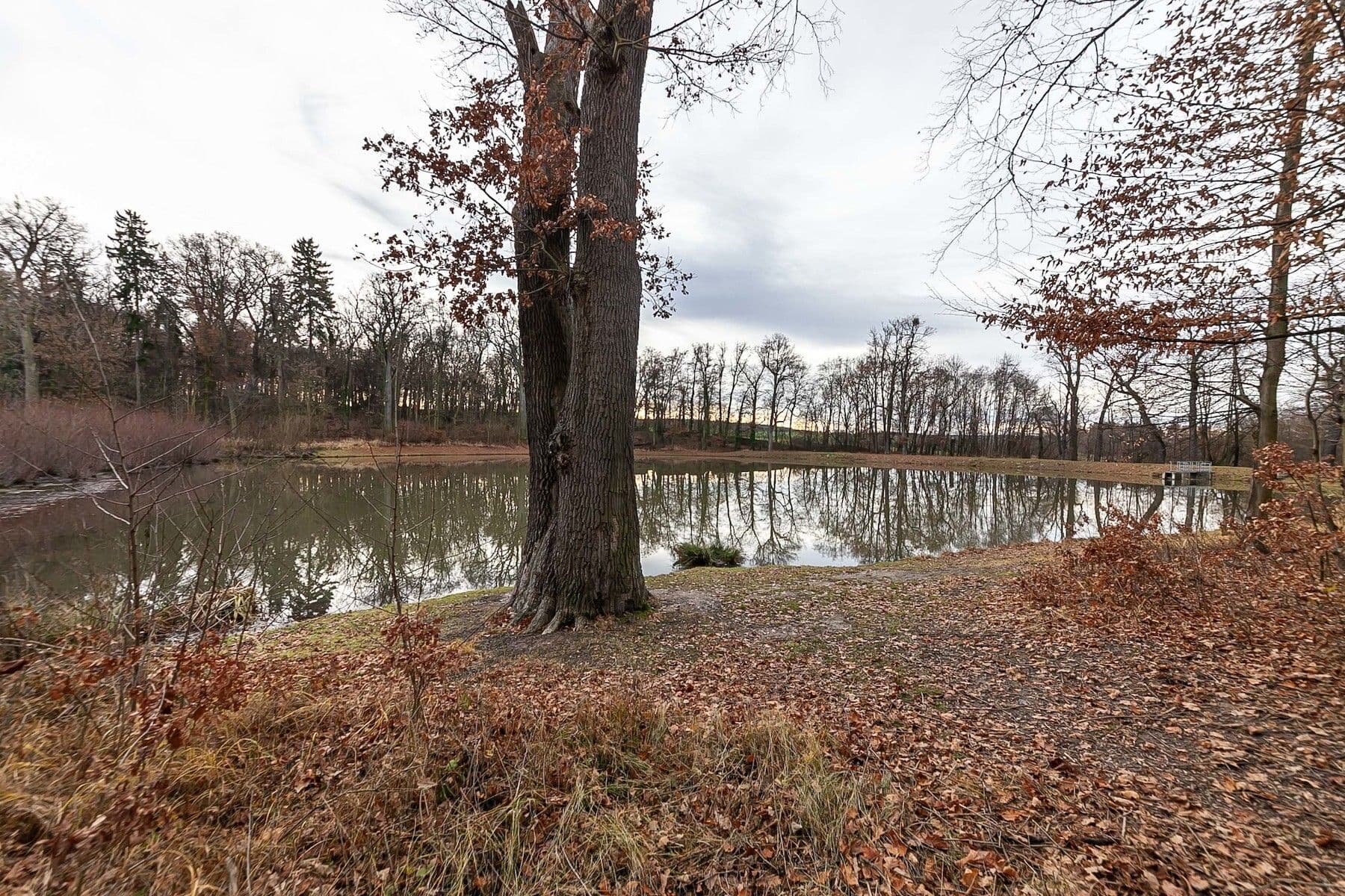 Predaj domu 100 m², pozemek 460 m², Pod Chaloupky, Zásmuky, Středočeský kraj Predaj domu 100 m², pozemek 460 m², Pod Chaloupky, Zásmuky, Středočeský kraj