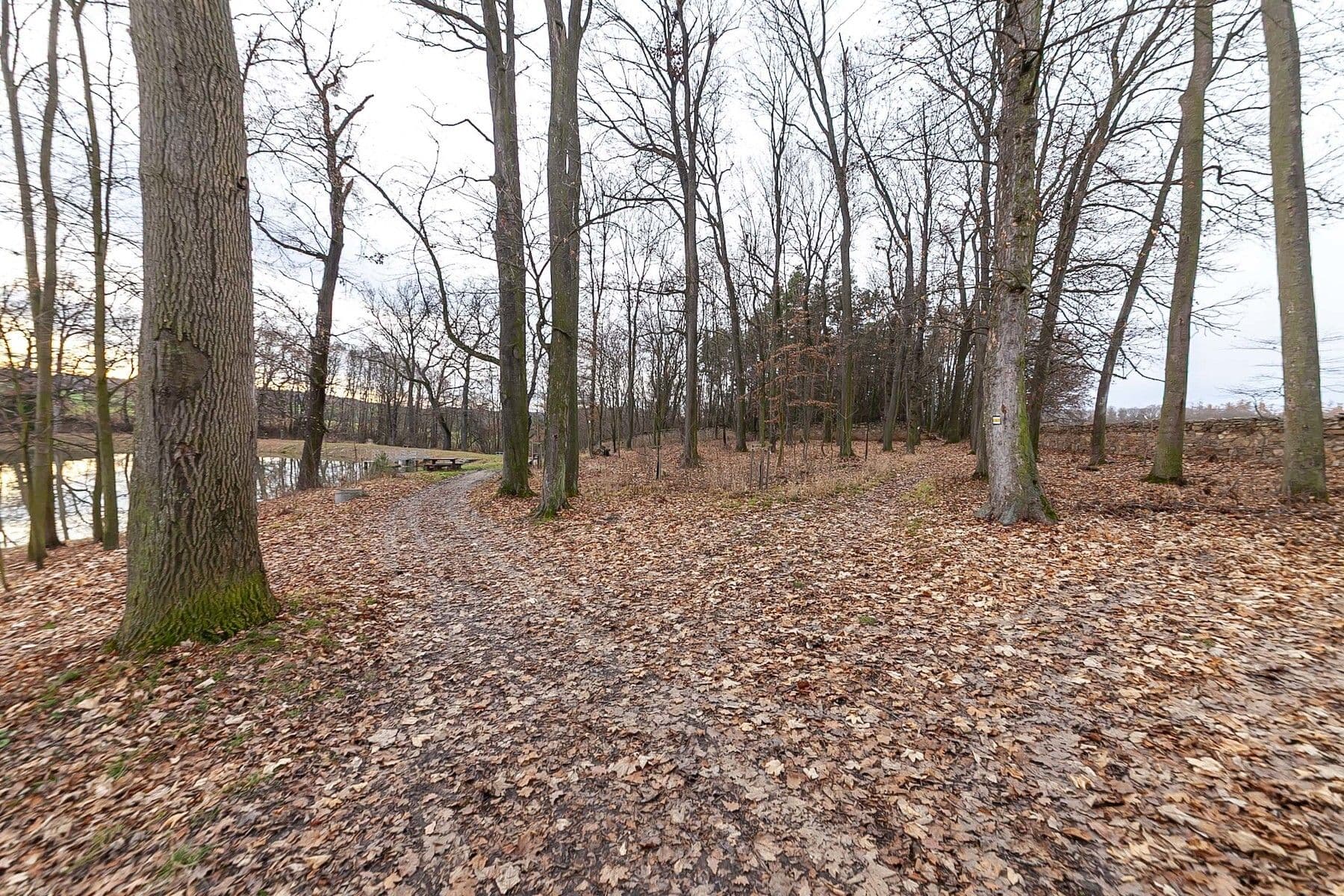 Predaj domu 100 m², pozemek 460 m², Pod Chaloupky, Zásmuky, Středočeský kraj Predaj domu 100 m², pozemek 460 m², Pod Chaloupky, Zásmuky, Středočeský kraj