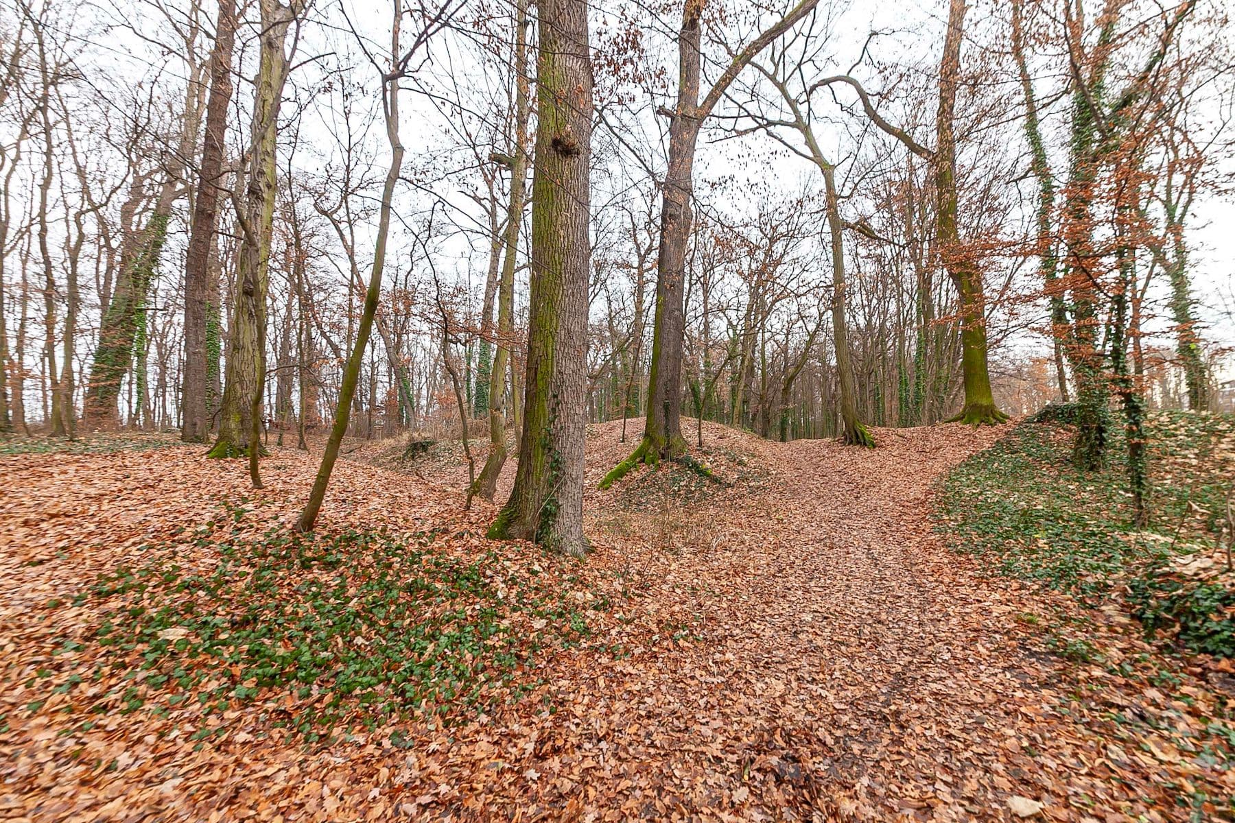 Predaj domu 100 m², pozemek 460 m², Pod Chaloupky, Zásmuky, Středočeský kraj Predaj domu 100 m², pozemek 460 m², Pod Chaloupky, Zásmuky, Středočeský kraj