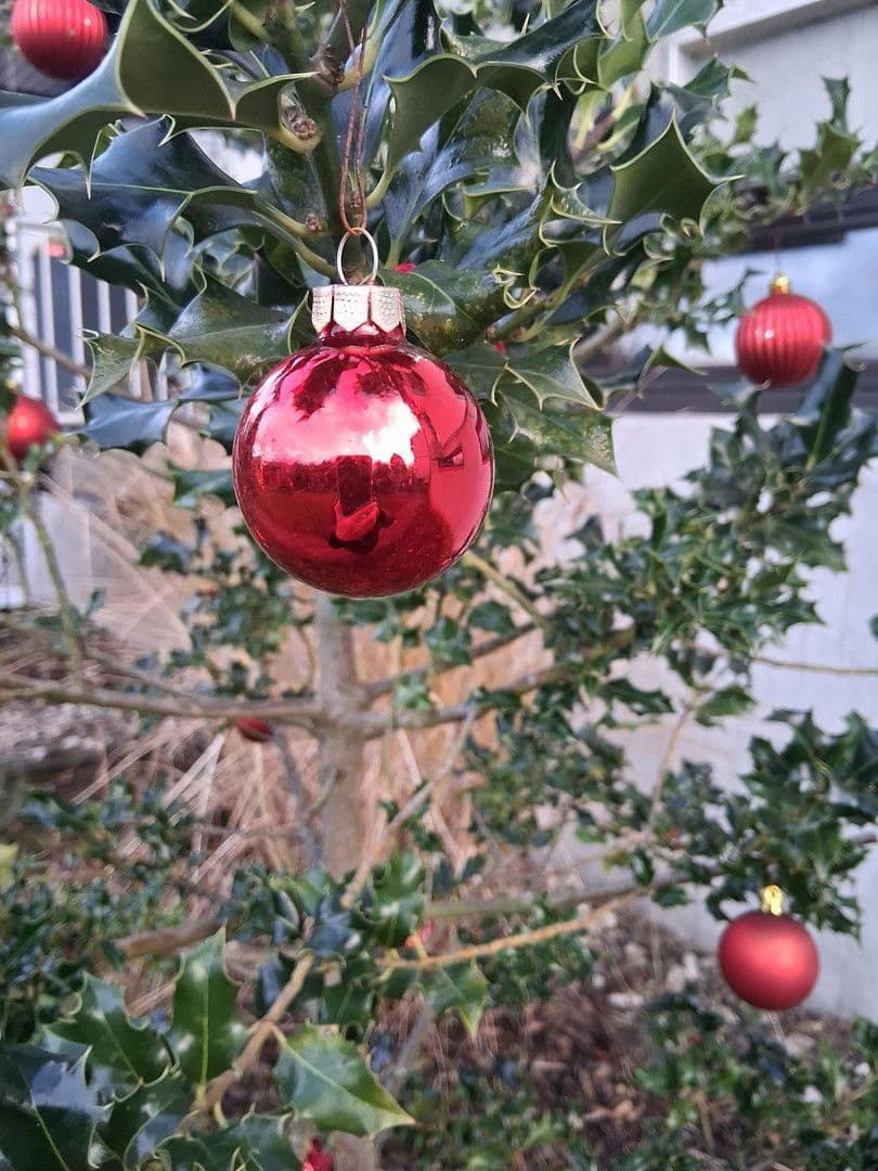 Predaj bytu 2-izbový 54 m², Hagen, Hohenlimburg, Severné Porýnie - Westfálsko Predaj bytu 2-izbový 54 m², Hagen, Hohenlimburg, Severné Porýnie - Westfálsko