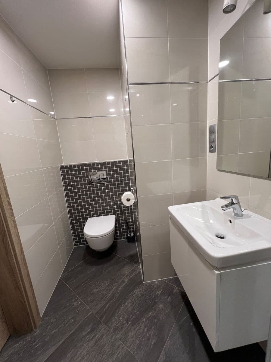 Prenájom bytu 1-izbový 29 m², Bassova, Praha, Praha Prenájom bytu 1-izbový 29 m², Bassova, Praha, Praha
