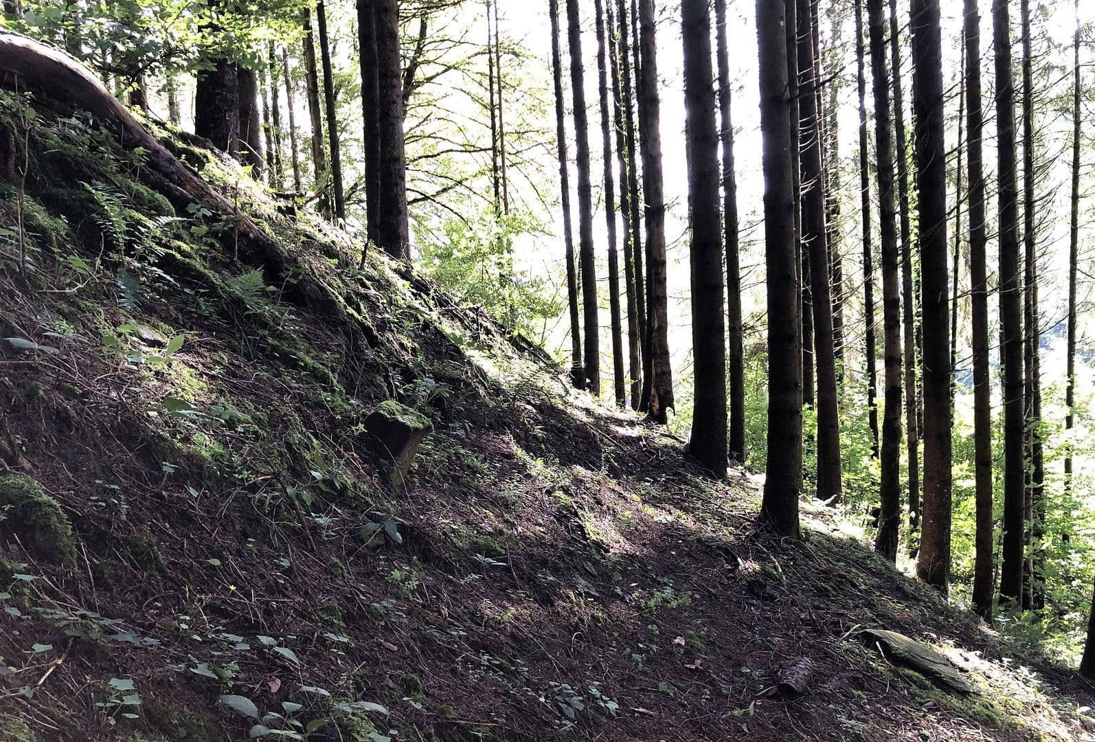 Predaj domu 263 m², pozemek 17.301 m², Wildschapbachstraße 6, Bad Rippoldsau-Schapbach, Bádensko-Wurttembersko Predaj domu 263 m², pozemek 17.301 m², Wildschapbachstraße 6, Bad Rippoldsau-Schapbach, Bádensko-Wurttembersko