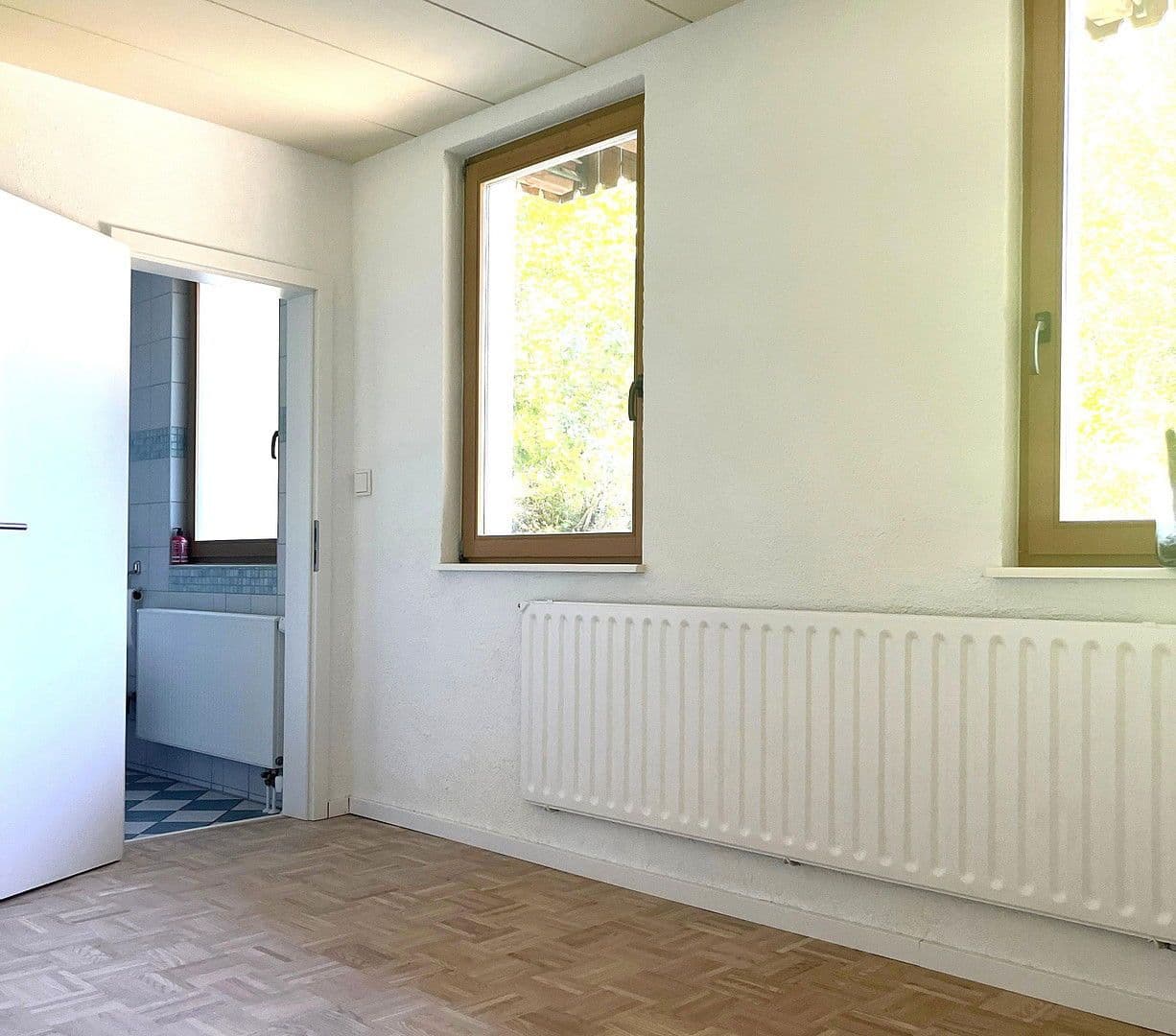 Predaj domu 263 m², pozemek 17.301 m², Wildschapbachstraße 6, Bad Rippoldsau-Schapbach, Bádensko-Wurttembersko Predaj domu 263 m², pozemek 17.301 m², Wildschapbachstraße 6, Bad Rippoldsau-Schapbach, Bádensko-Wurttembersko