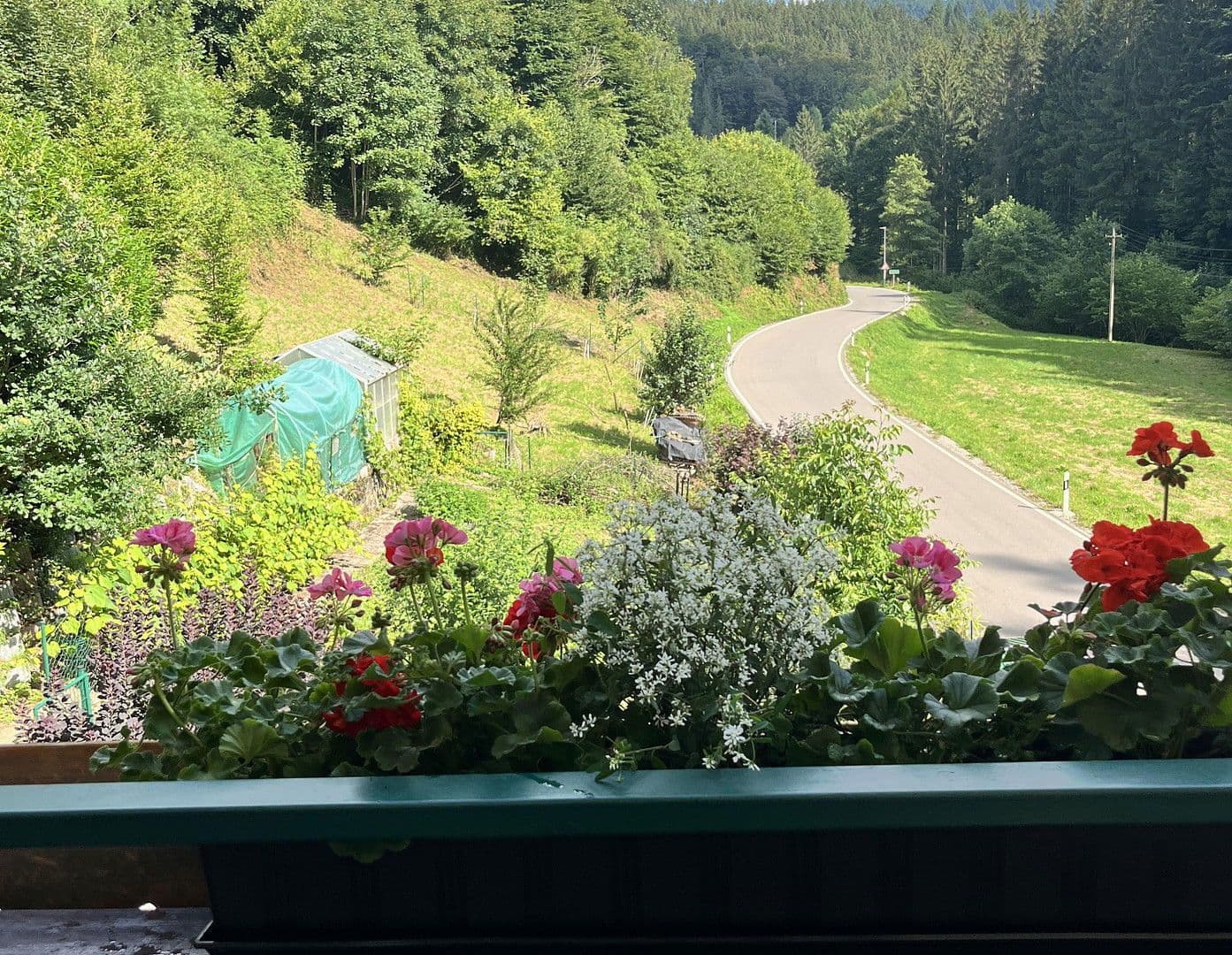 Predaj domu 263 m², pozemek 17.301 m², Wildschapbachstraße 6, Bad Rippoldsau-Schapbach, Bádensko-Wurttembersko Predaj domu 263 m², pozemek 17.301 m², Wildschapbachstraße 6, Bad Rippoldsau-Schapbach, Bádensko-Wurttembersko