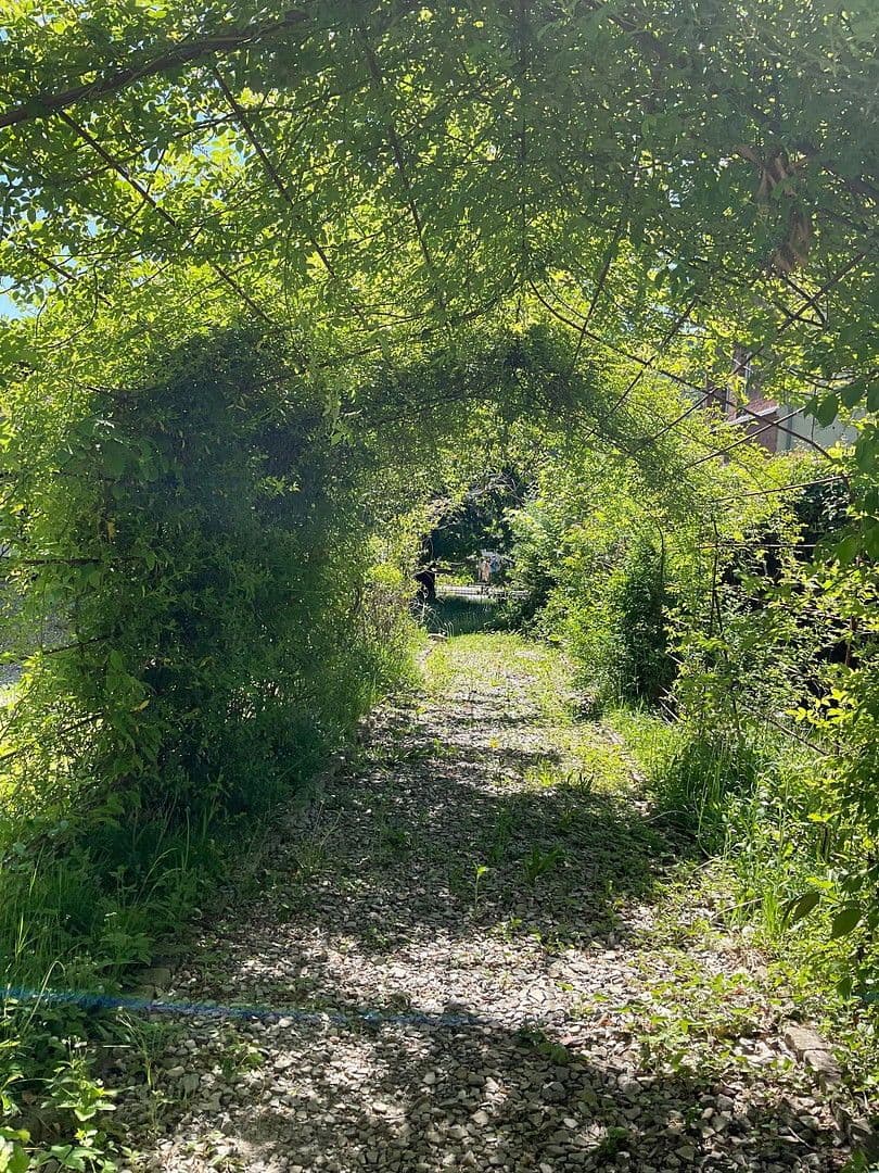 Predaj domu 800 m², pozemek 3.821 m², Bad Karlshafen, Hesensko Predaj domu 800 m², pozemek 3.821 m², Bad Karlshafen, Hesensko