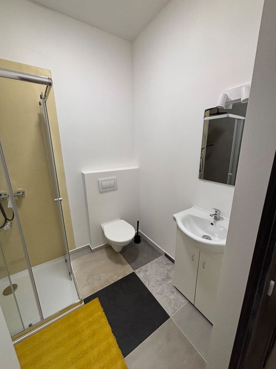 Prenájom bytu 2-izbový 52 m², Čejkova, Brno, Jihomoravský kraj Prenájom bytu 2-izbový 52 m², Čejkova, Brno, Jihomoravský kraj