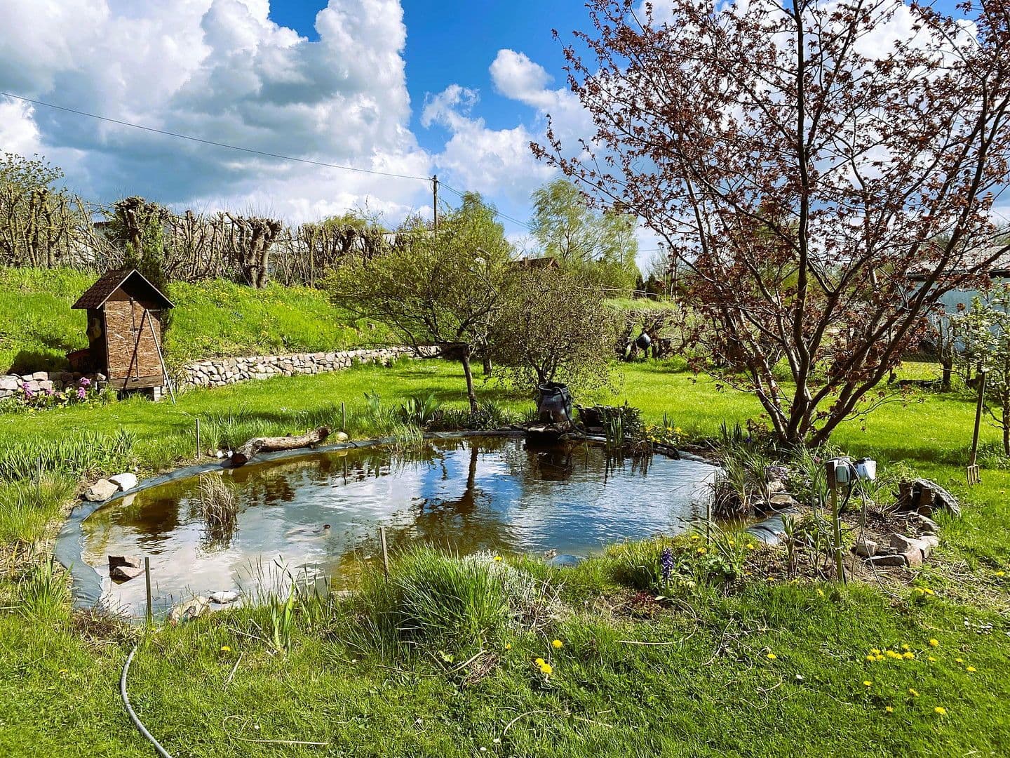 Predaj domu 720 m², pozemek 20.000 m², Dassow, Meklenbursko-Predpomoransko Predaj domu 720 m², pozemek 20.000 m², Dassow, Meklenbursko-Predpomoransko