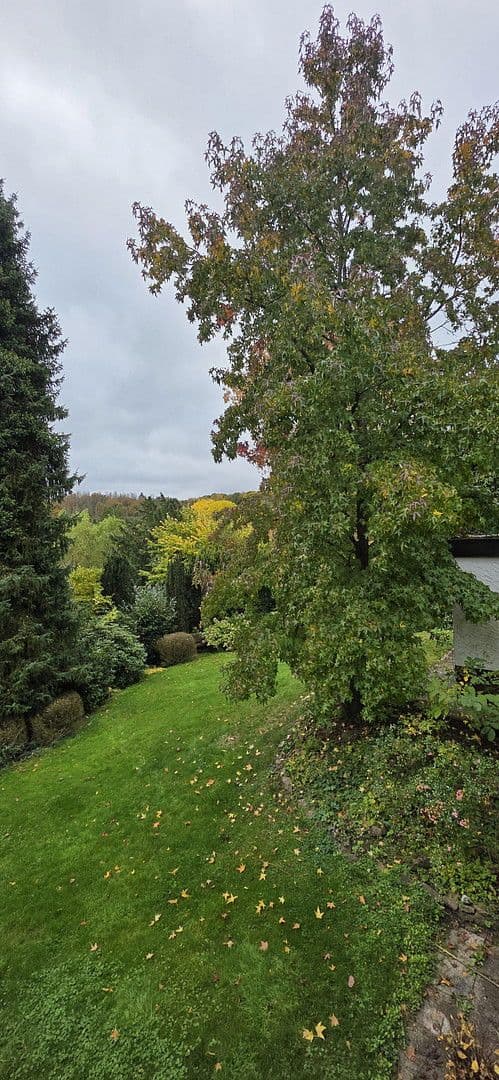 Predaj domu 250 m², pozemek 1.200 m², Rosenstr.4, Breitscheid, Porýnie-Falcko Predaj domu 250 m², pozemek 1.200 m², Rosenstr.4, Breitscheid, Porýnie-Falcko