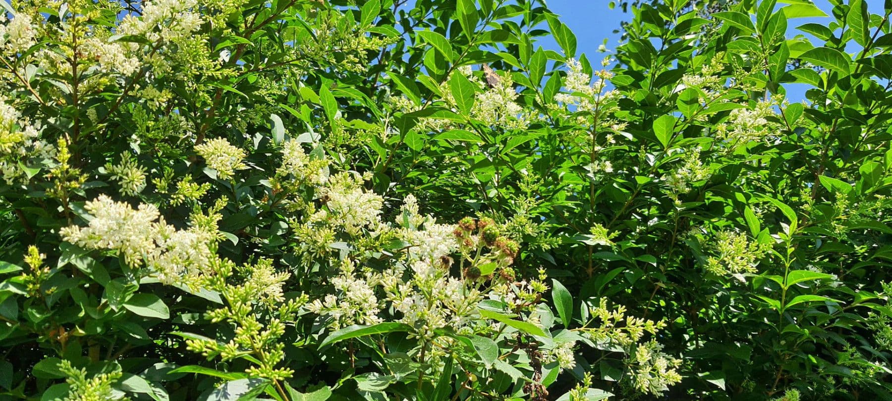 Predaj domu 140 m², pozemek 1.604 m², Wurster Nordseeküste, Dolné Sasko Predaj domu 140 m², pozemek 1.604 m², Wurster Nordseeküste, Dolné Sasko