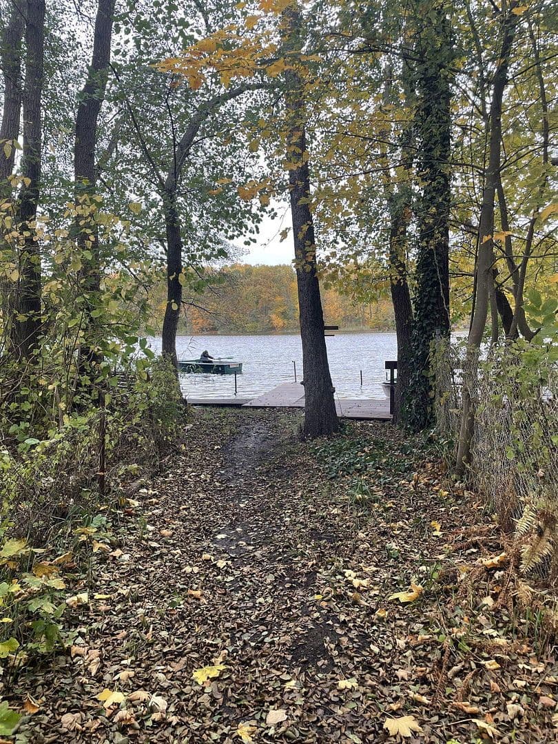 Predaj domu 80 m², pozemek 600 m², Tulpenweg 20, Strausberg, Brandenbursko Predaj domu 80 m², pozemek 600 m², Tulpenweg 20, Strausberg, Brandenbursko