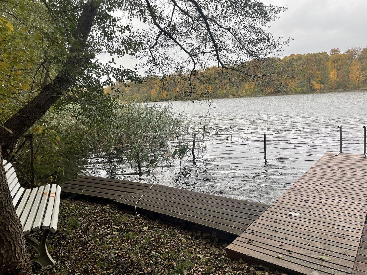 Predaj domu 80 m², pozemek 600 m², Tulpenweg 20, Strausberg, Brandenbursko Predaj domu 80 m², pozemek 600 m², Tulpenweg 20, Strausberg, Brandenbursko