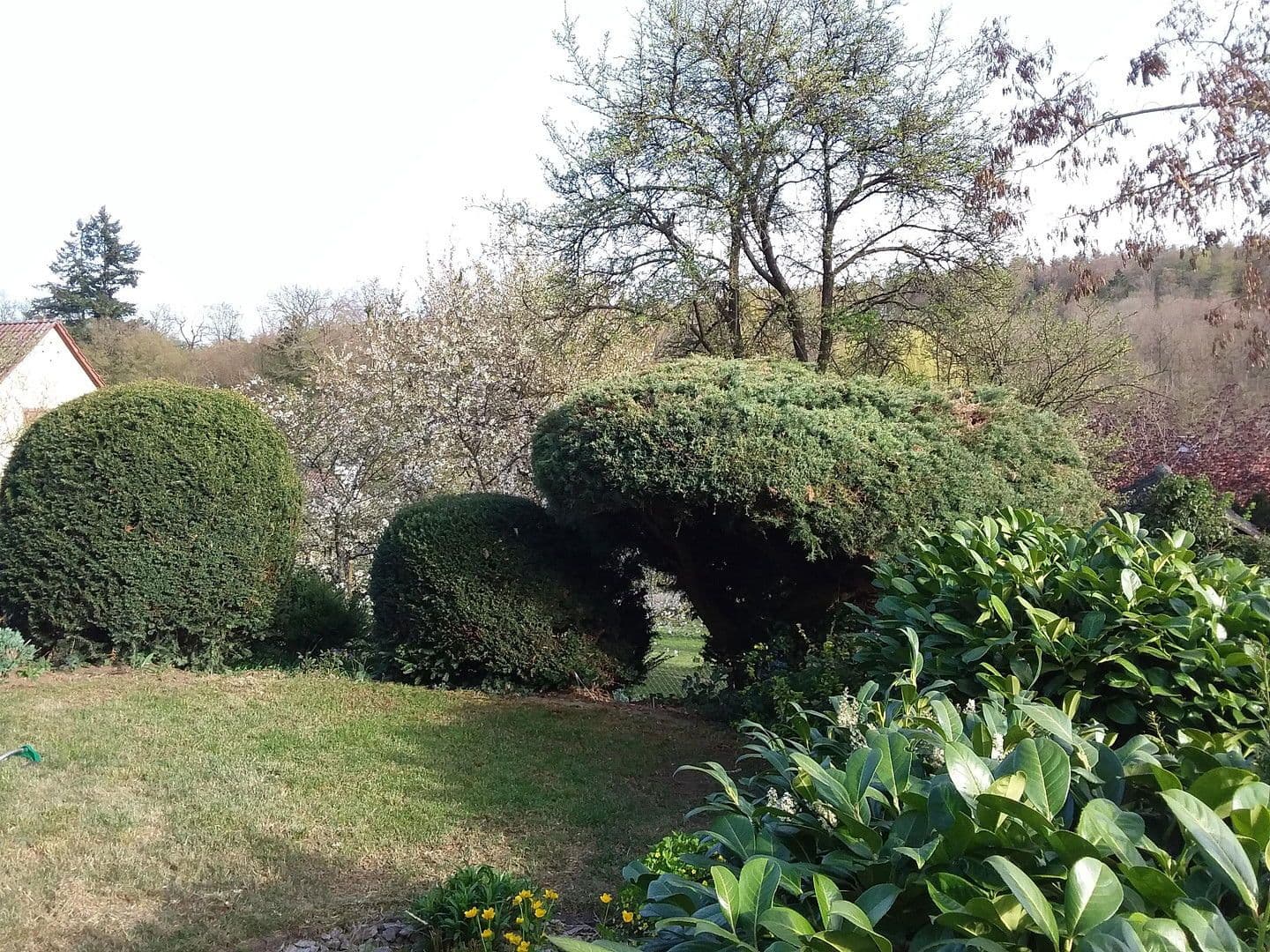 Predaj domu 158 m², pozemek 410 m², Leonberg, Bádensko-Wurttembersko Predaj domu 158 m², pozemek 410 m², Leonberg, Bádensko-Wurttembersko