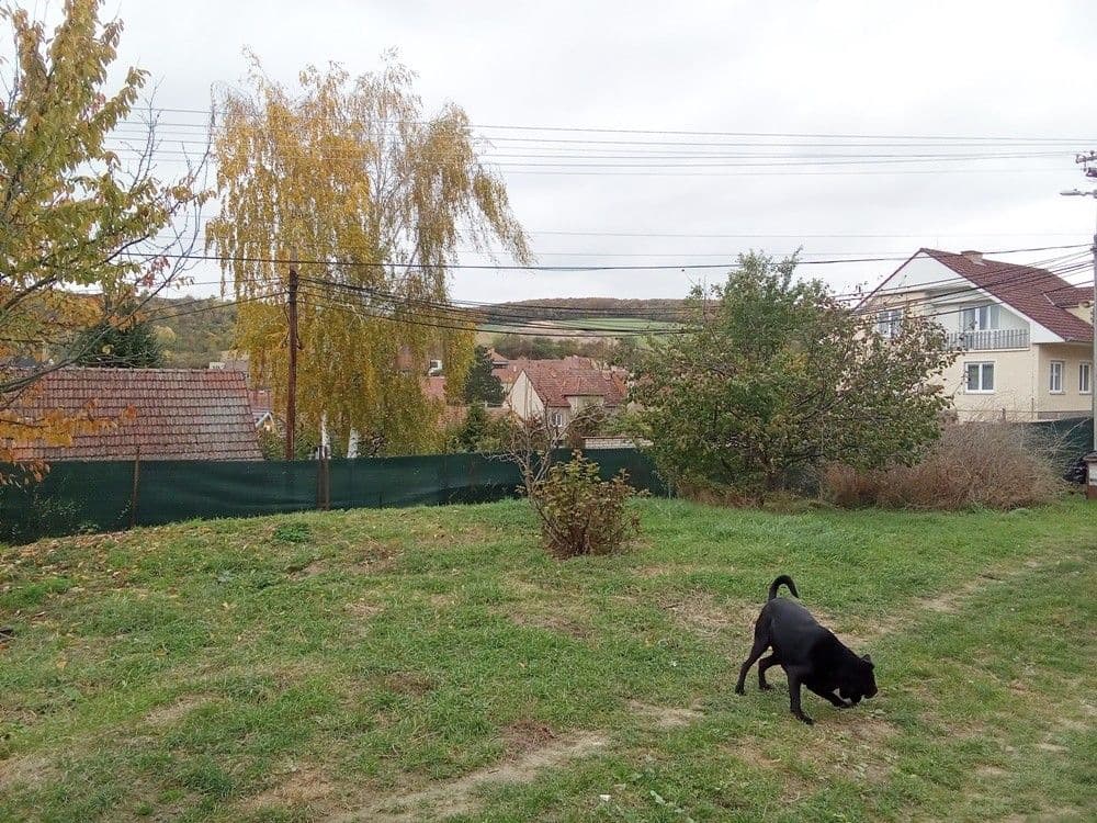 Predaj domu 100 m², pozemek 557 m², Dambořice, Jihomoravský kraj Predaj domu 100 m², pozemek 557 m², Dambořice, Jihomoravský kraj