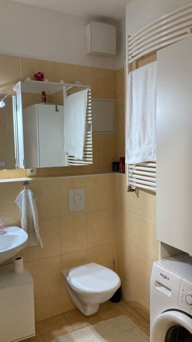 Prenájom bytu 2-izbový 50 m², V Dolině, Praha, Praha Prenájom bytu 2-izbový 50 m², V Dolině, Praha, Praha