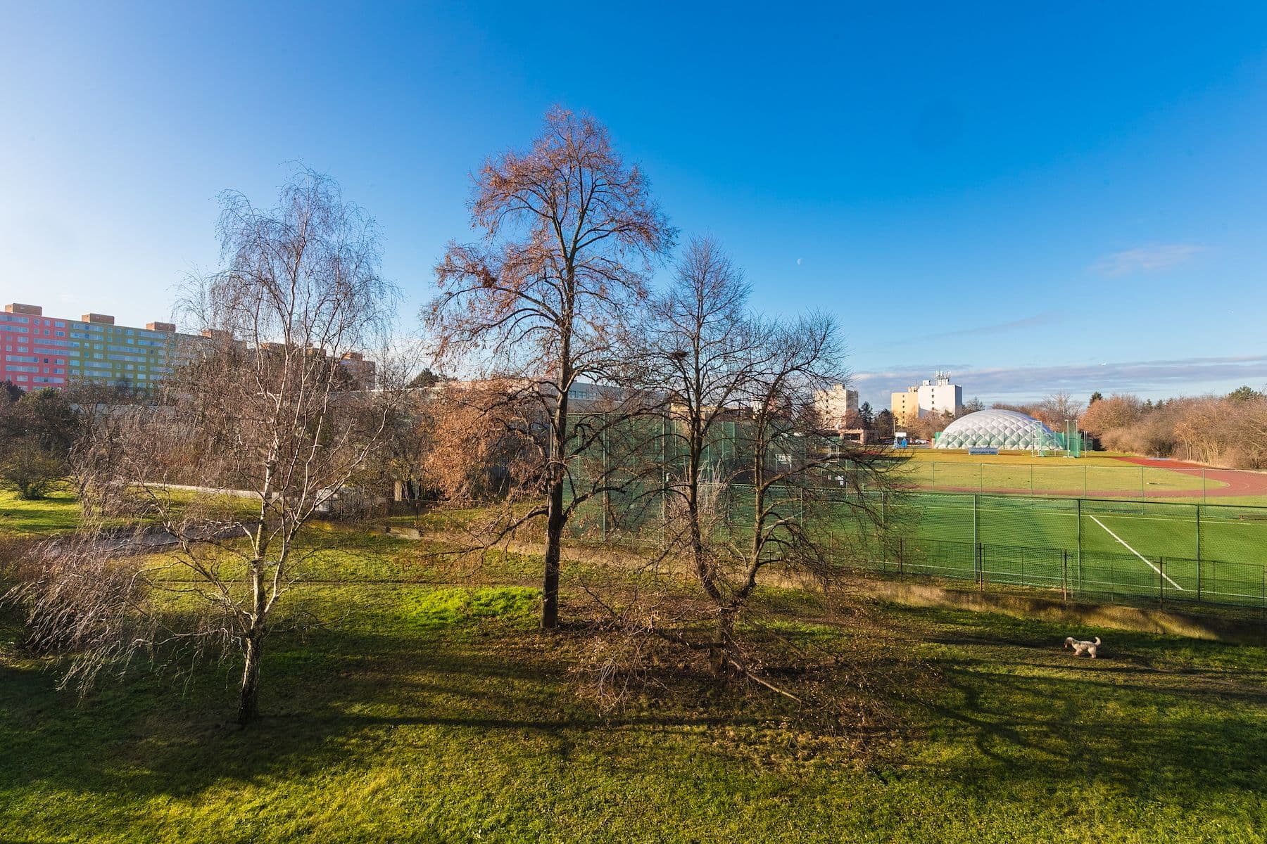 Predaj bytu 3-izbový 64 m², Svídnická, Praha, Praha Predaj bytu 3-izbový 64 m², Svídnická, Praha, Praha