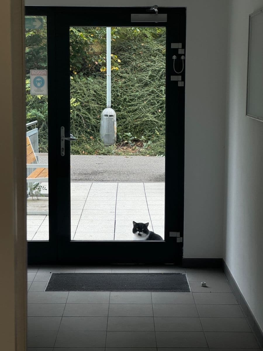 Prenájom bytu 1-izbový 32 m², Rakovského, Praha, Praha Prenájom bytu 1-izbový 32 m², Rakovského, Praha, Praha