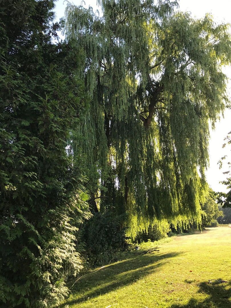 Prenájom nebytového priestoru 8.651 m², Ilmklause 1, Münchsmünster, Bavorsko Prenájom nebytového priestoru 8.651 m², Ilmklause 1, Münchsmünster, Bavorsko