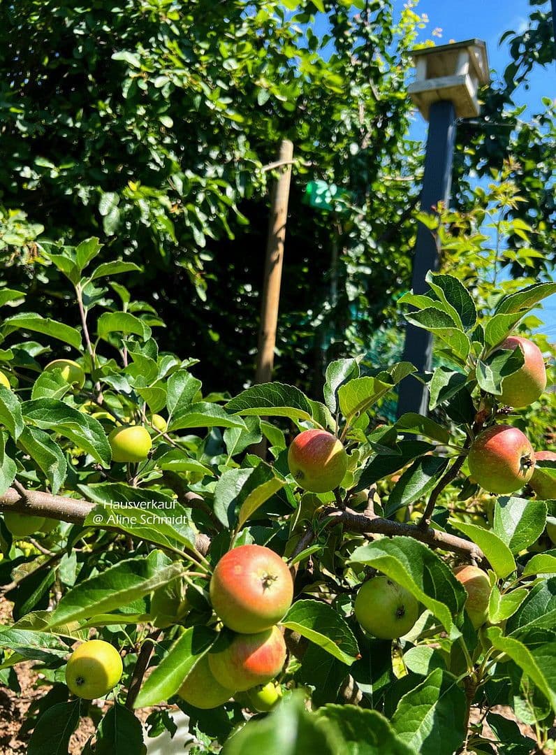 Predaj domu 210 m², pozemek 783 m², Radebeul, Sasko Predaj domu 210 m², pozemek 783 m², Radebeul, Sasko