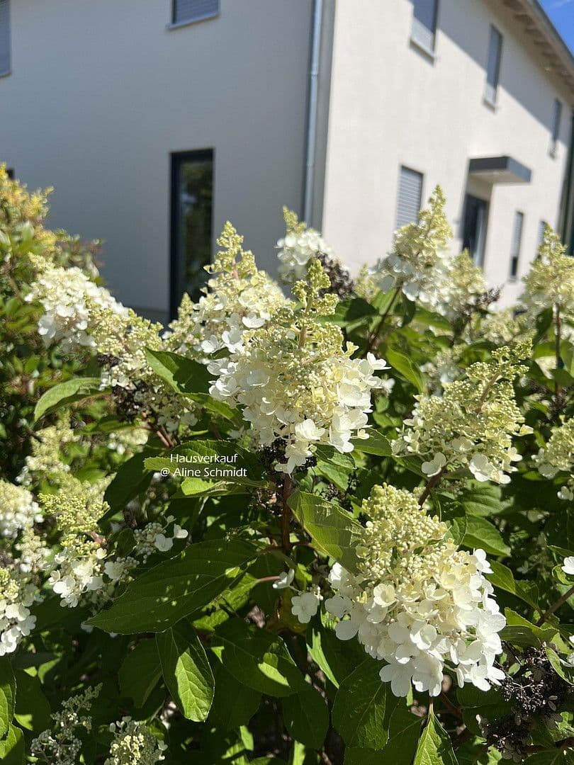 Predaj domu 210 m², pozemek 783 m², Radebeul, Sasko Predaj domu 210 m², pozemek 783 m², Radebeul, Sasko