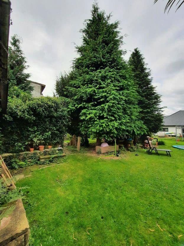 Predaj domu 297 m², pozemek 1.655 m², Dorfstraße 118, Michelstadt, Hesensko Predaj domu 297 m², pozemek 1.655 m², Dorfstraße 118, Michelstadt, Hesensko