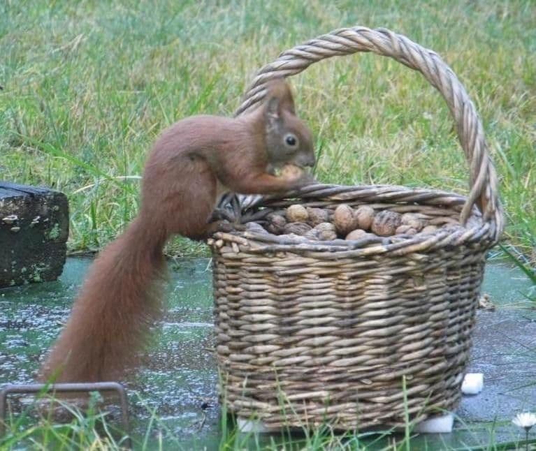 Predaj domu 120 m², pozemek 2.400 m², Riesa, Sasko Predaj domu 120 m², pozemek 2.400 m², Riesa, Sasko