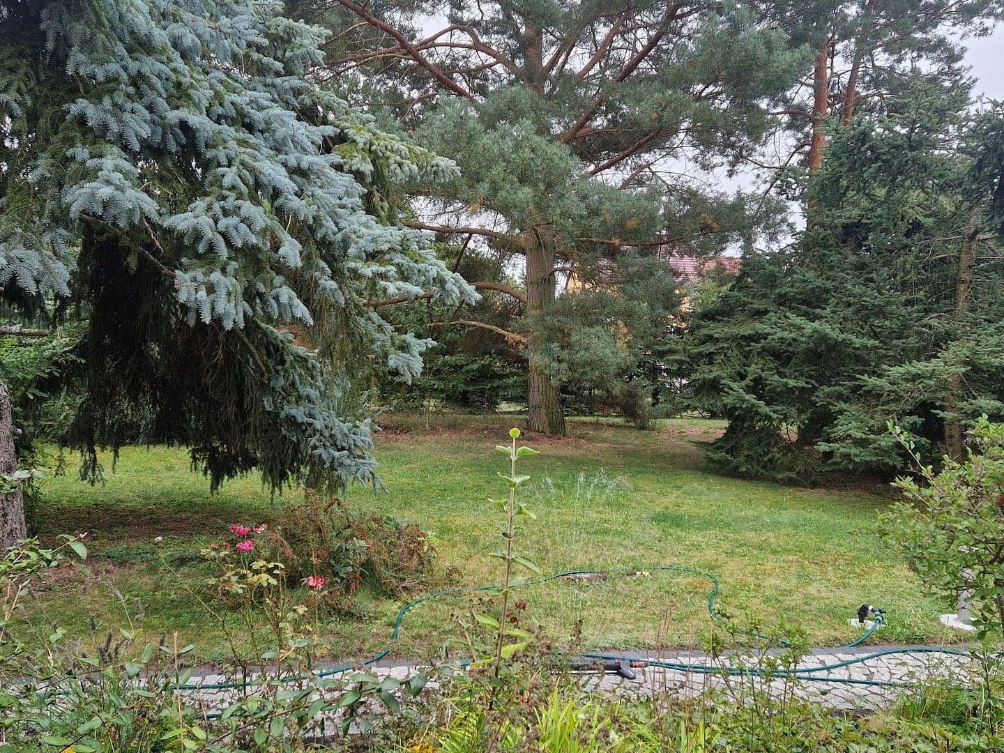 Predaj domu 120 m², pozemek 2.400 m², Riesa, Sasko Predaj domu 120 m², pozemek 2.400 m², Riesa, Sasko