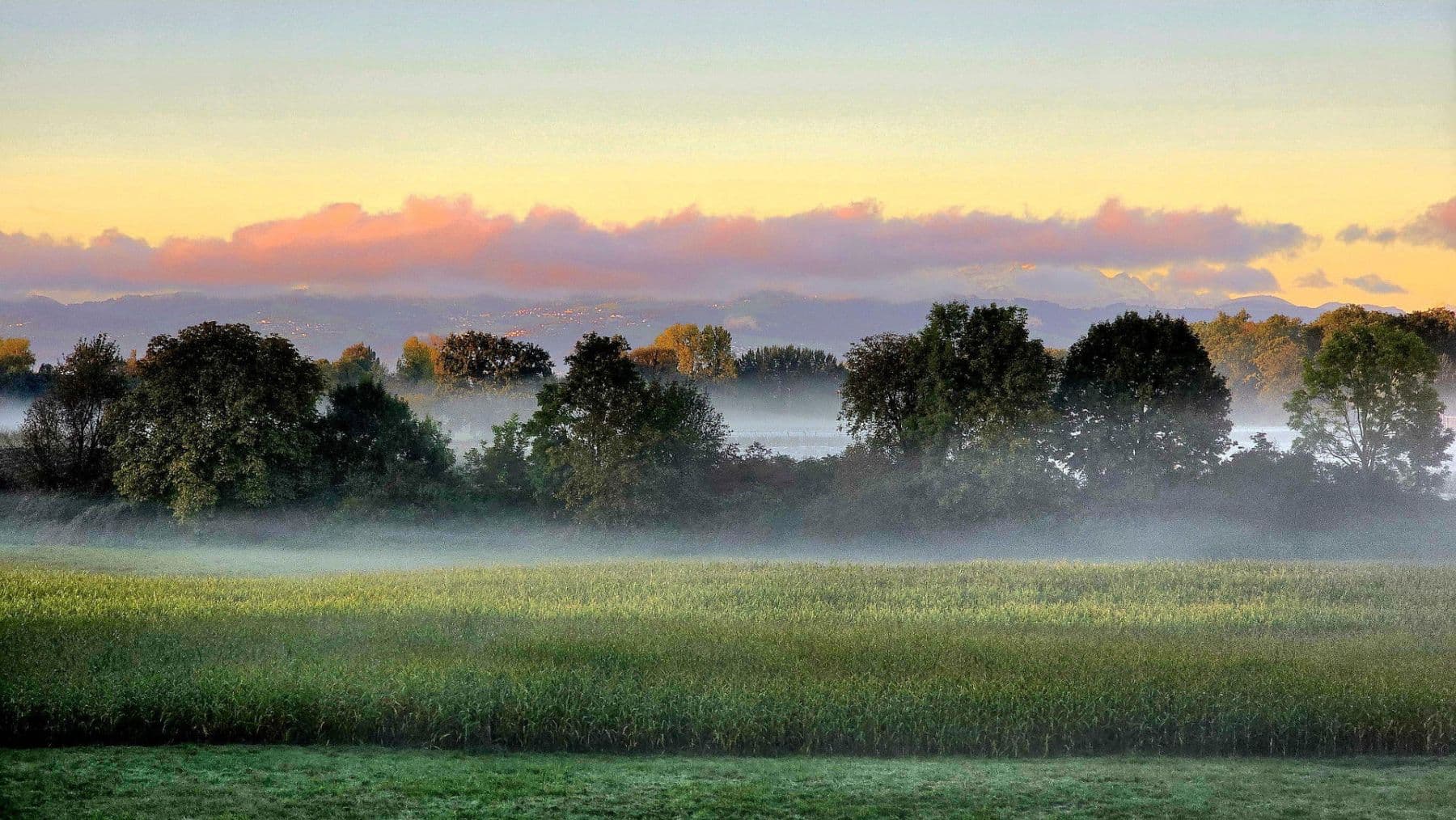 Predaj bytu 4-izbový 107 m², Kressbronn am Bodensee, Bádensko-Wurttembersko Predaj bytu 4-izbový 107 m², Kressbronn am Bodensee, Bádensko-Wurttembersko