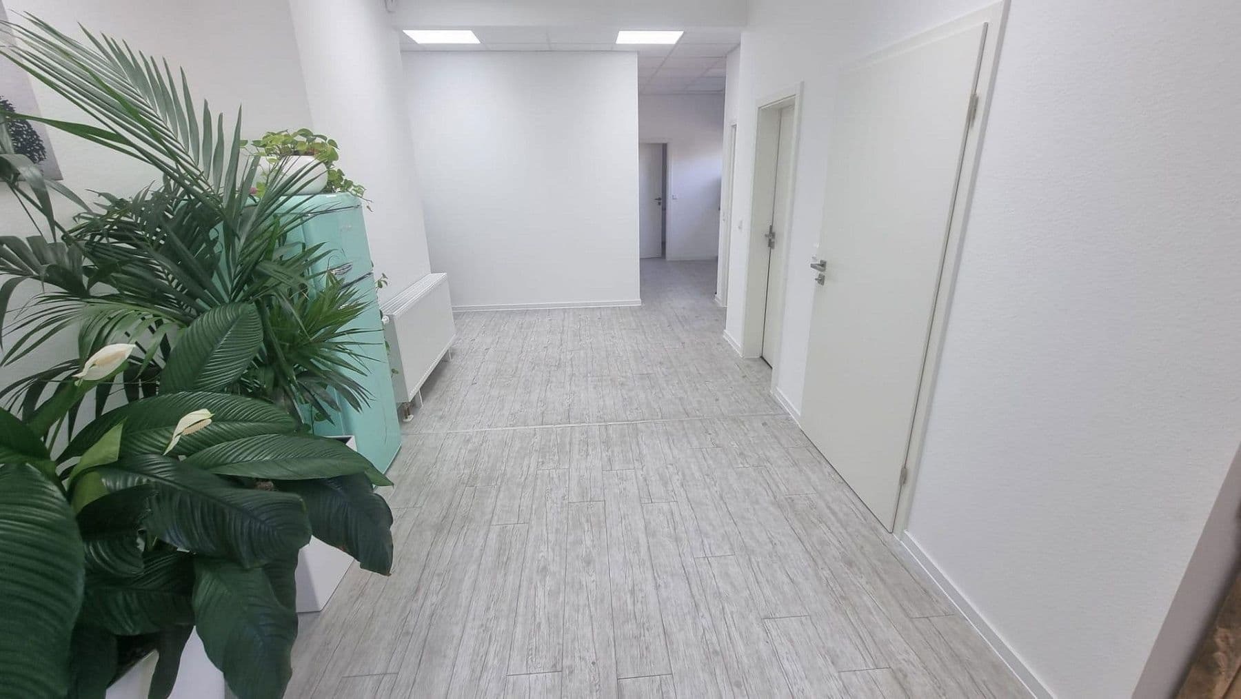 Predaj nebytového priestoru 2.800 m², Bauhofstr. 24, Lampertheim, Hesensko Predaj nebytového priestoru 2.800 m², Bauhofstr. 24, Lampertheim, Hesensko