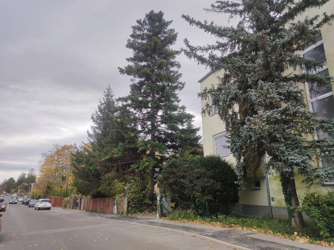 Prenájom bytu 3-izbový 74 m², Wien, Viedeň Prenájom bytu 3-izbový 74 m², Wien, Viedeň