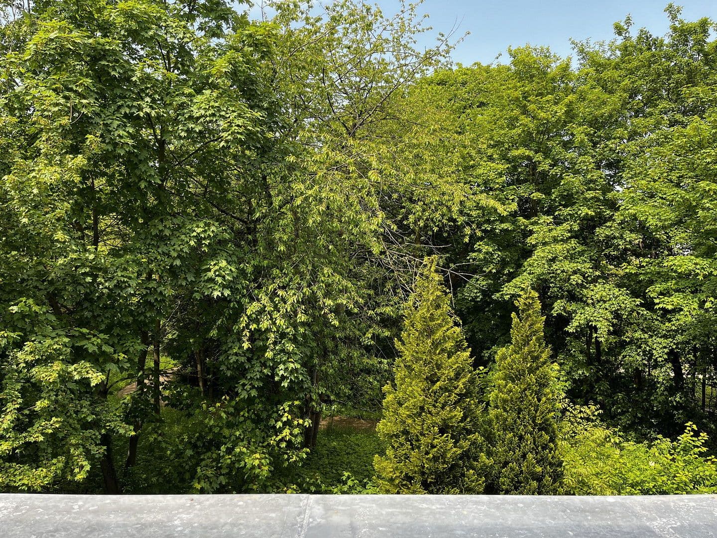 Prenájom bytu 4-izbový 91 m², Mönckebergallee, Hannover, Dolné Sasko Prenájom bytu 4-izbový 91 m², Mönckebergallee, Hannover, Dolné Sasko