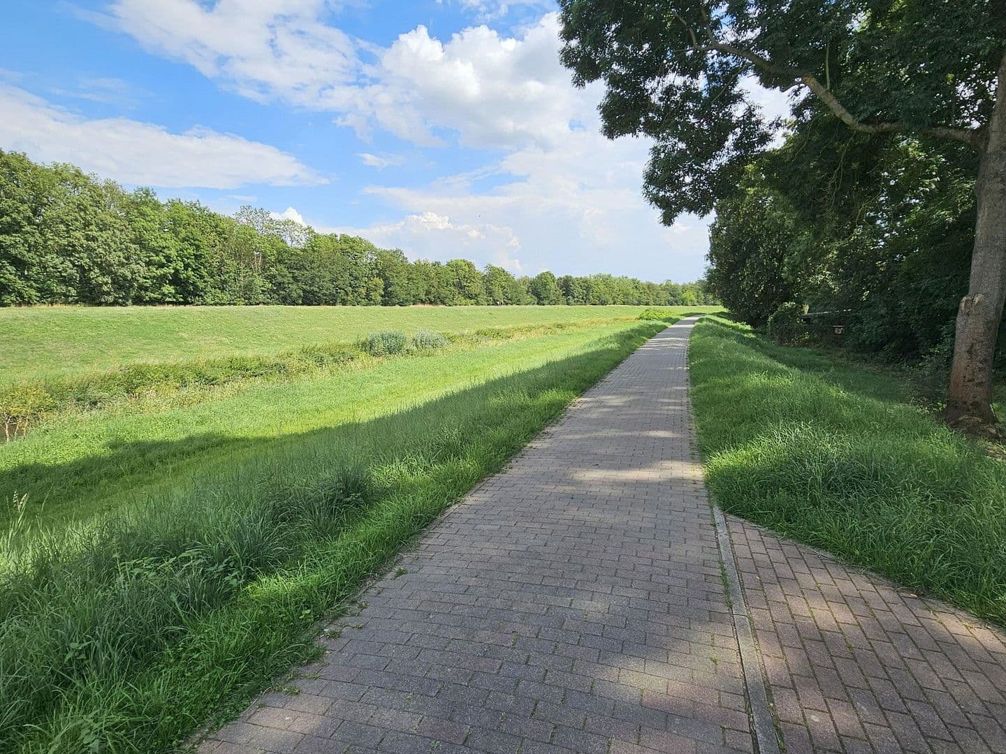 Prenájom bytu 3-izbový 57 m², Am Park 4, Markkleeberg, Sasko Prenájom bytu 3-izbový 57 m², Am Park 4, Markkleeberg, Sasko