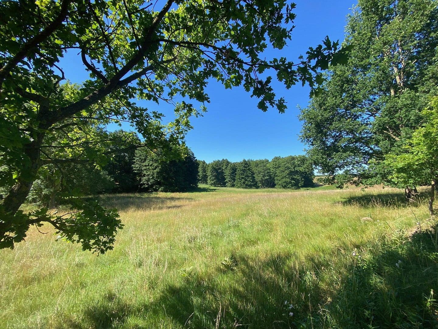 Predaj domu 306 m², pozemek 84.147 m², Witzin, Meklenbursko-Predpomoransko Predaj domu 306 m², pozemek 84.147 m², Witzin, Meklenbursko-Predpomoransko