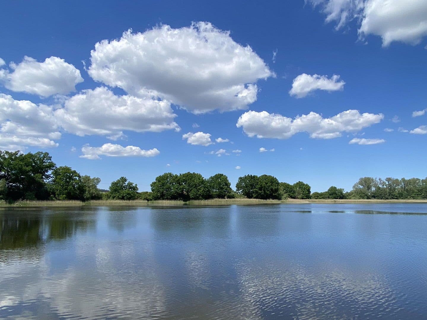 Predaj domu 306 m², pozemek 84.147 m², Witzin, Meklenbursko-Predpomoransko Predaj domu 306 m², pozemek 84.147 m², Witzin, Meklenbursko-Predpomoransko