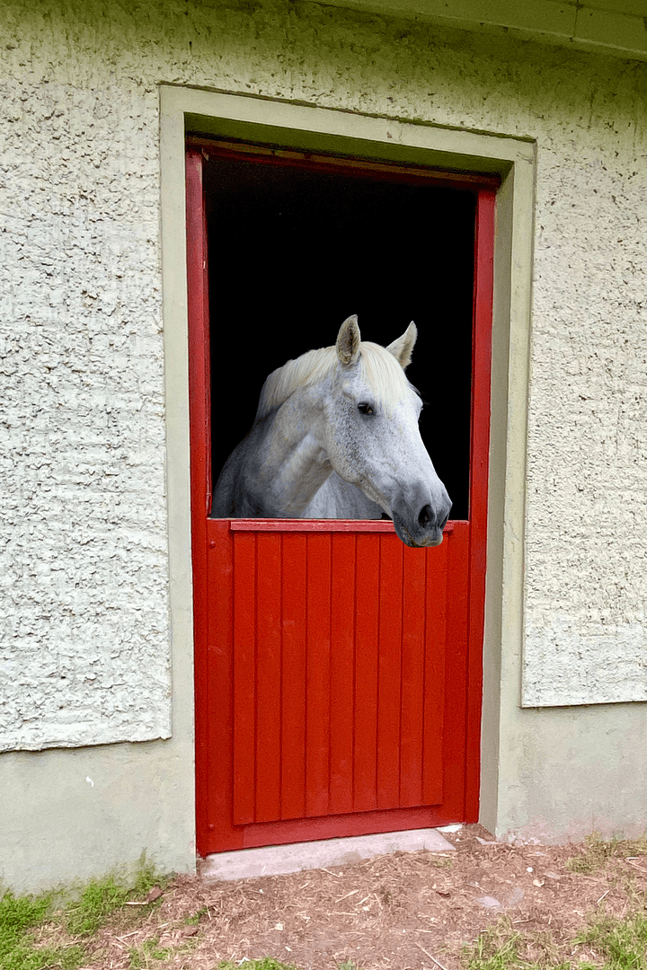 Predaj domu 306 m², pozemek 84.147 m², Witzin, Meklenbursko-Predpomoransko Predaj domu 306 m², pozemek 84.147 m², Witzin, Meklenbursko-Predpomoransko