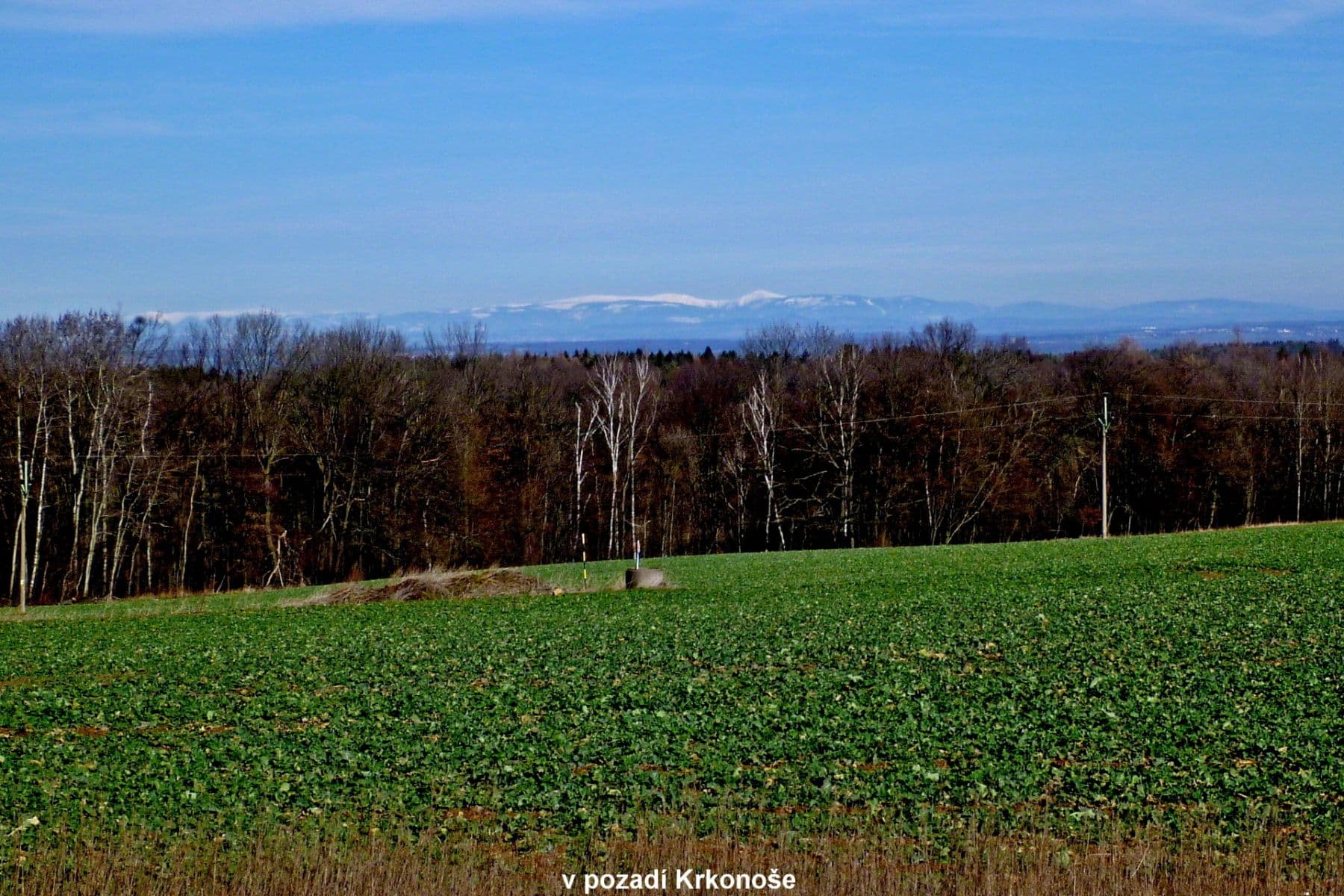 Predaj pozemku 1.657 m², Načešice, Pardubický kraj Predaj pozemku 1.657 m², Načešice, Pardubický kraj