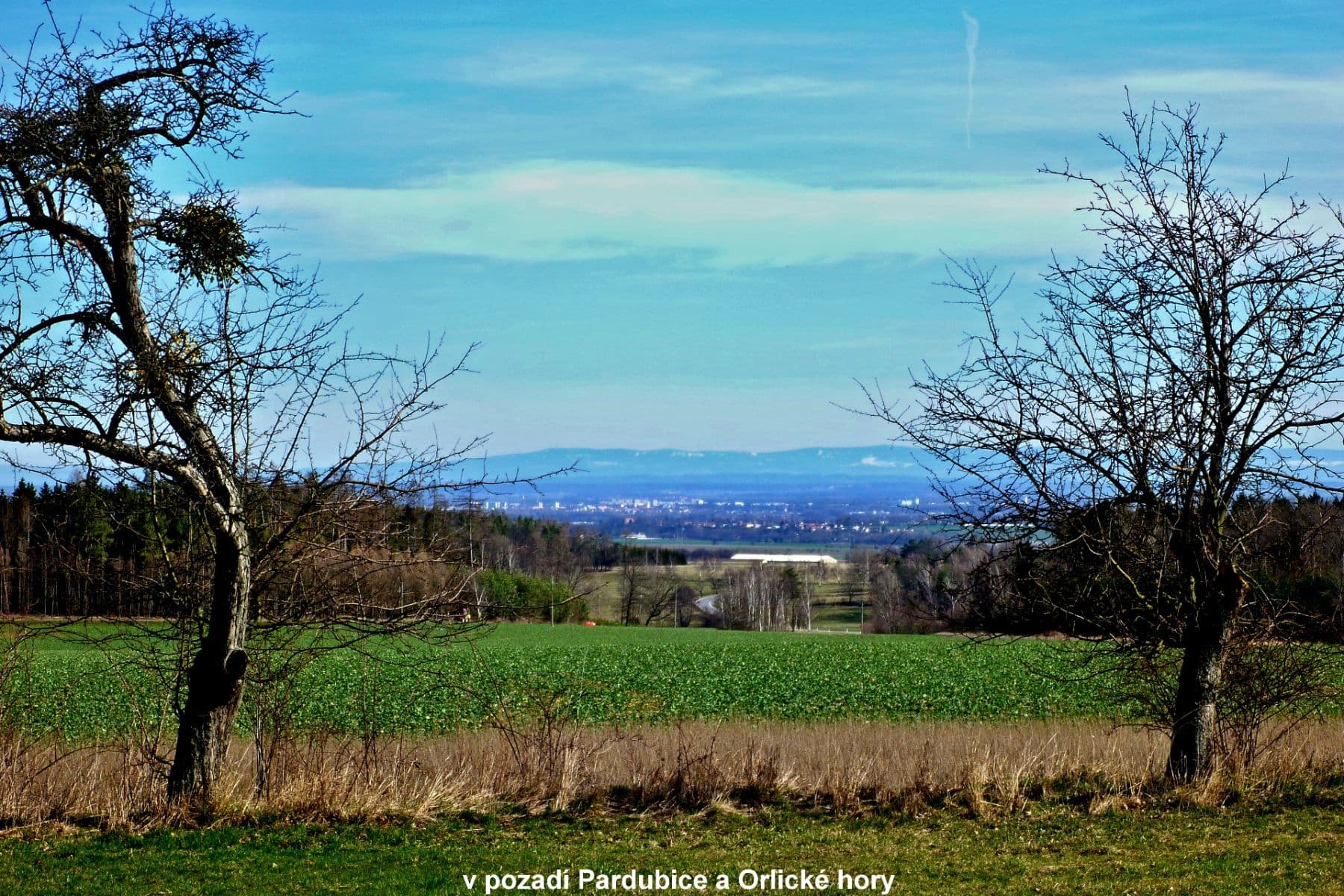 Predaj pozemku 1.657 m², Načešice, Pardubický kraj Predaj pozemku 1.657 m², Načešice, Pardubický kraj