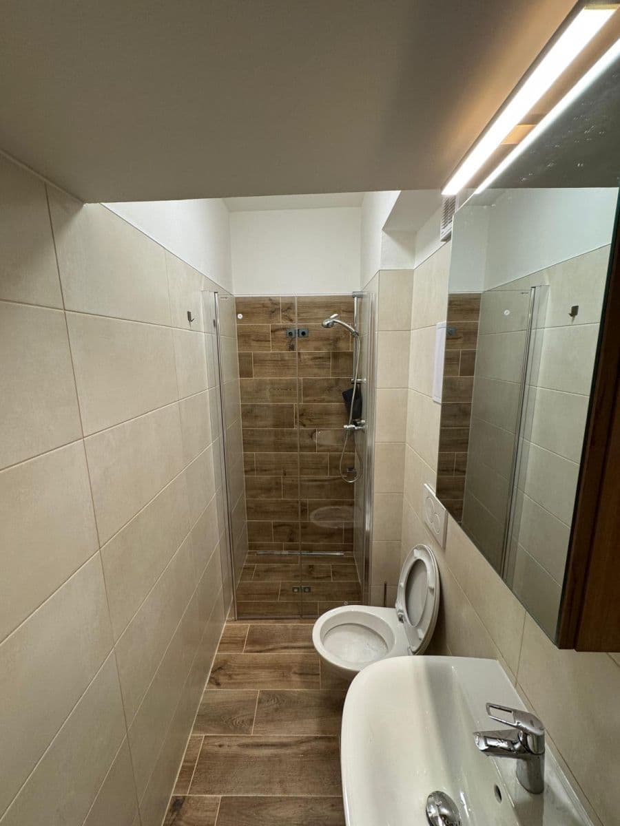 Prenájom bytu 1-izbový 21 m², Francouzská, Brno, Jihomoravský kraj Prenájom bytu 1-izbový 21 m², Francouzská, Brno, Jihomoravský kraj