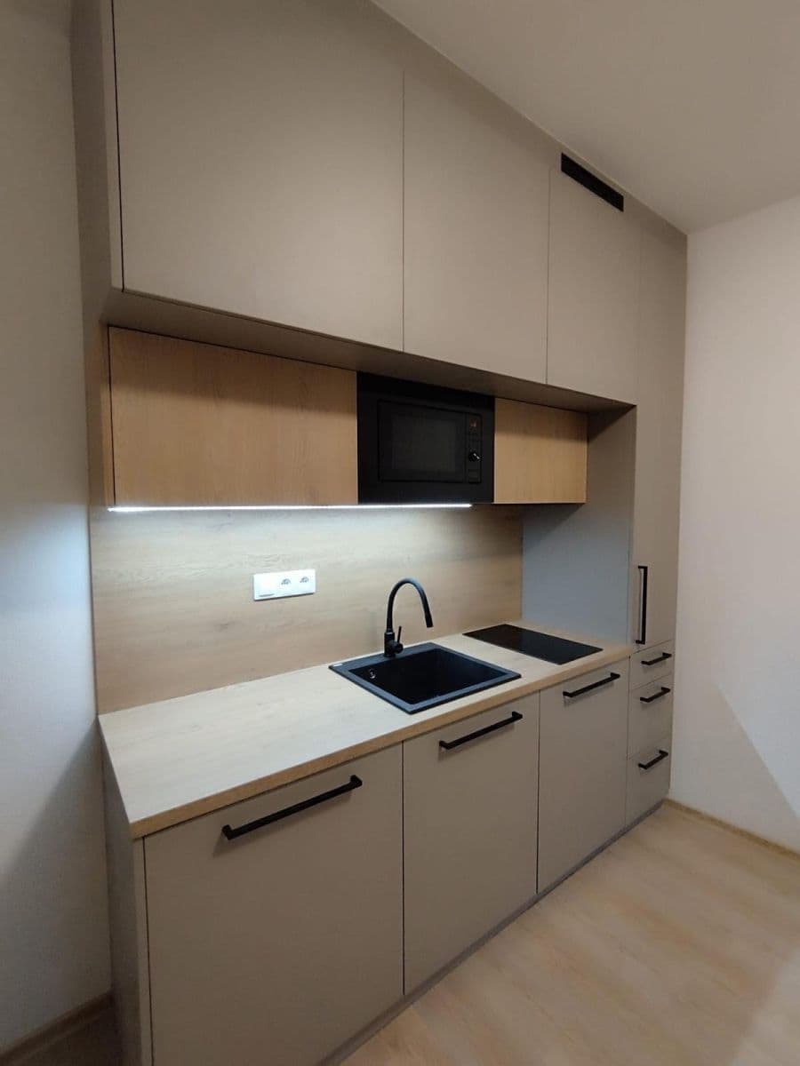 Prenájom bytu 1-izbový 21 m², Francouzská, Brno, Jihomoravský kraj Prenájom bytu 1-izbový 21 m², Francouzská, Brno, Jihomoravský kraj