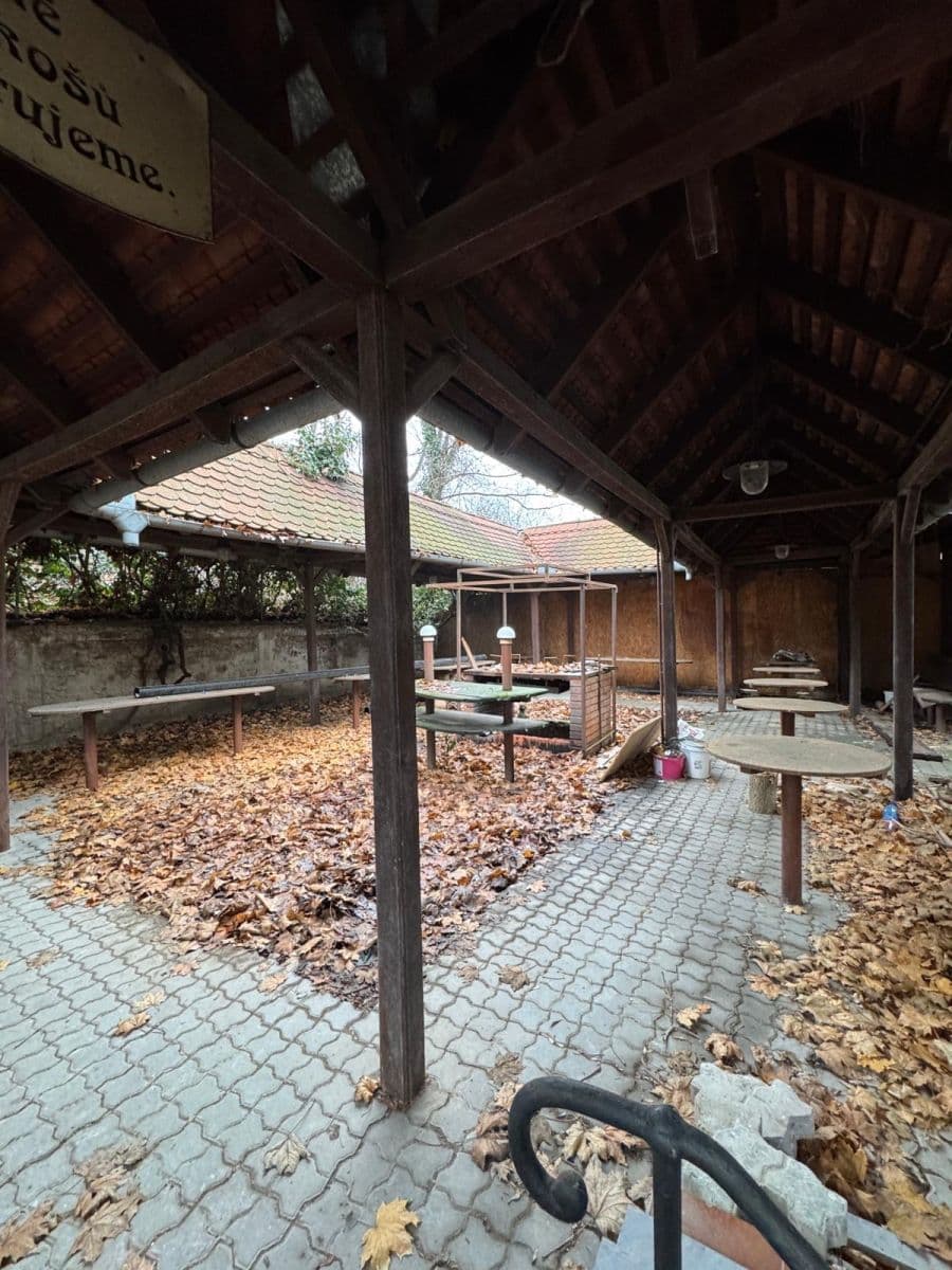 Prenájom bytu 1-izbový 21 m², Francouzská, Brno, Jihomoravský kraj Prenájom bytu 1-izbový 21 m², Francouzská, Brno, Jihomoravský kraj