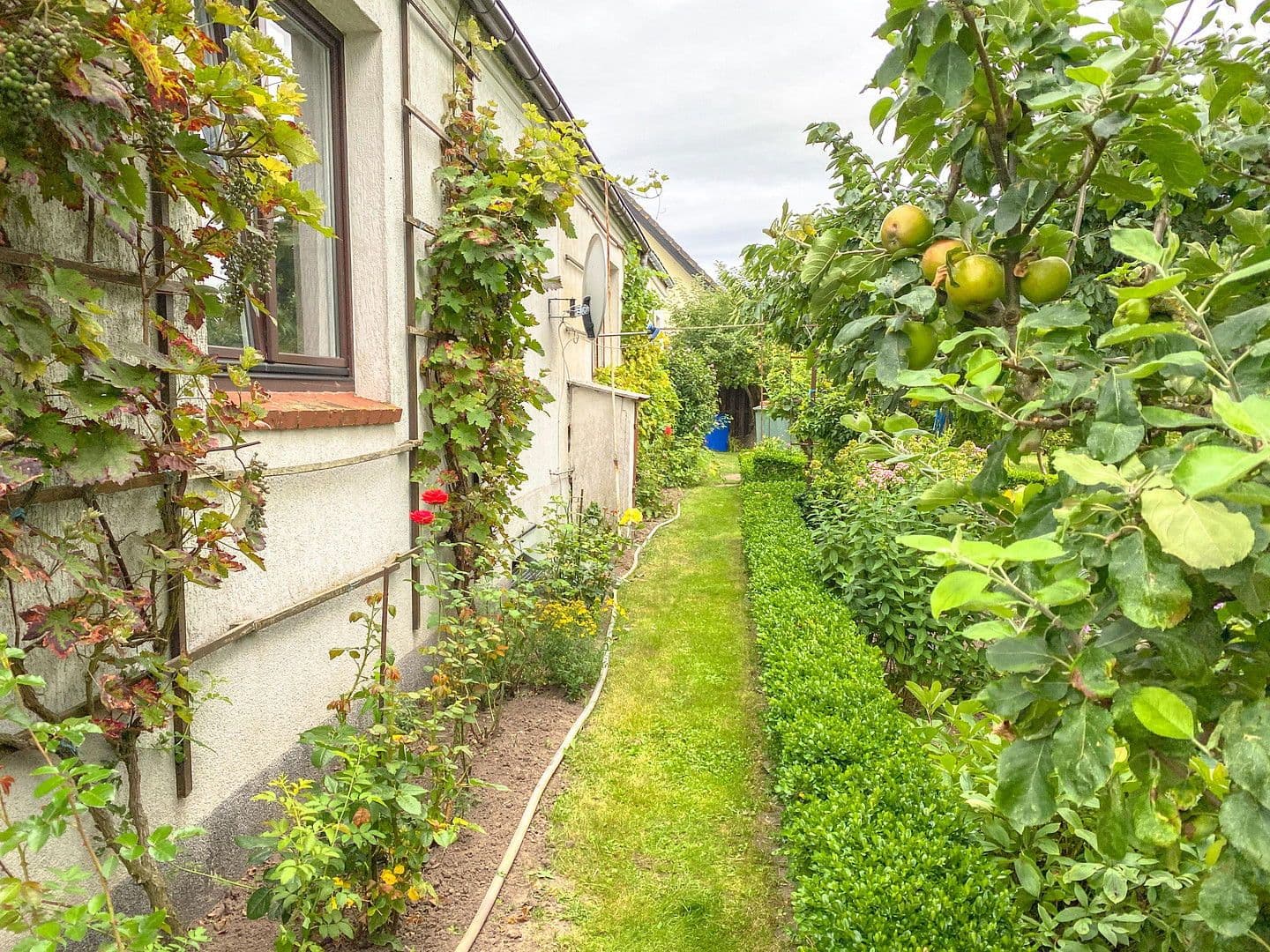 Predaj domu 138 m², pozemek 1.809 m², Neuburg, Meklenbursko-Predpomoransko Predaj domu 138 m², pozemek 1.809 m², Neuburg, Meklenbursko-Predpomoransko