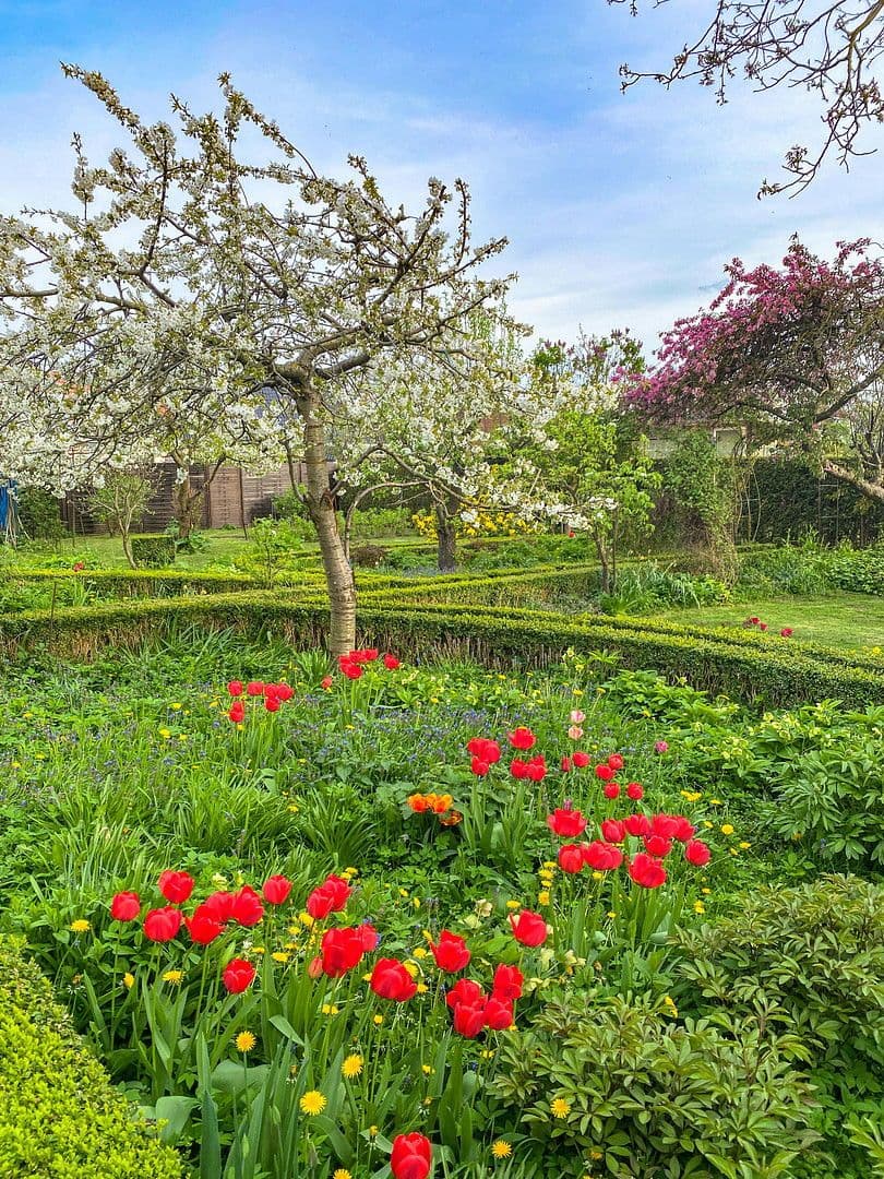 Predaj domu 138 m², pozemek 1.809 m², Neuburg, Meklenbursko-Predpomoransko Predaj domu 138 m², pozemek 1.809 m², Neuburg, Meklenbursko-Predpomoransko