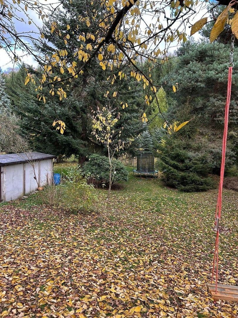 Prenájom bytu 2-izbový 48 m², Schafgartenweg 3, Lichtenstein/Sachsen, Sasko Prenájom bytu 2-izbový 48 m², Schafgartenweg 3, Lichtenstein/Sachsen, Sasko