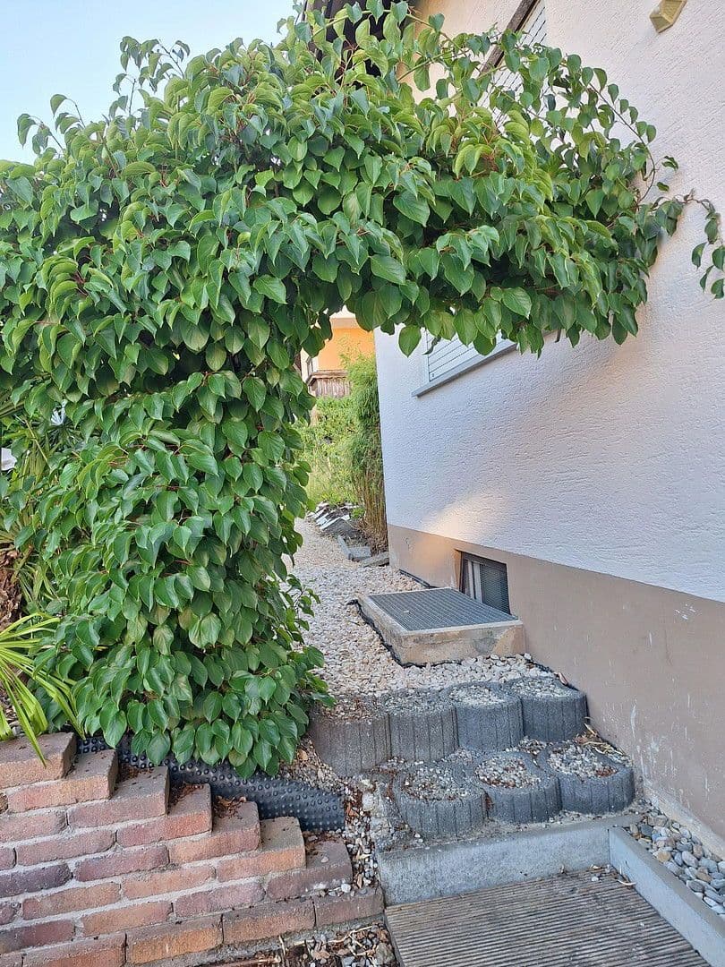 Predaj domu 100 m², pozemek 1.000 m², Emeringen, Bádensko-Wurttembersko Predaj domu 100 m², pozemek 1.000 m², Emeringen, Bádensko-Wurttembersko