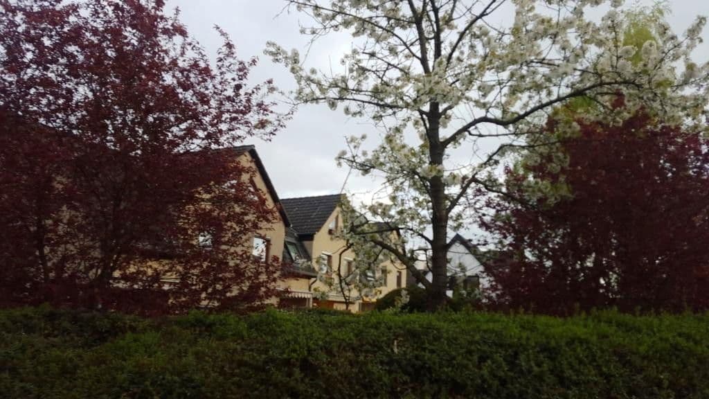 Predaj domu 96 m², pozemek 224 m², Falkenseer Chaussee, 174D, Berlin - Spandau, Berlín Predaj domu 96 m², pozemek 224 m², Falkenseer Chaussee, 174D, Berlin - Spandau, Berlín