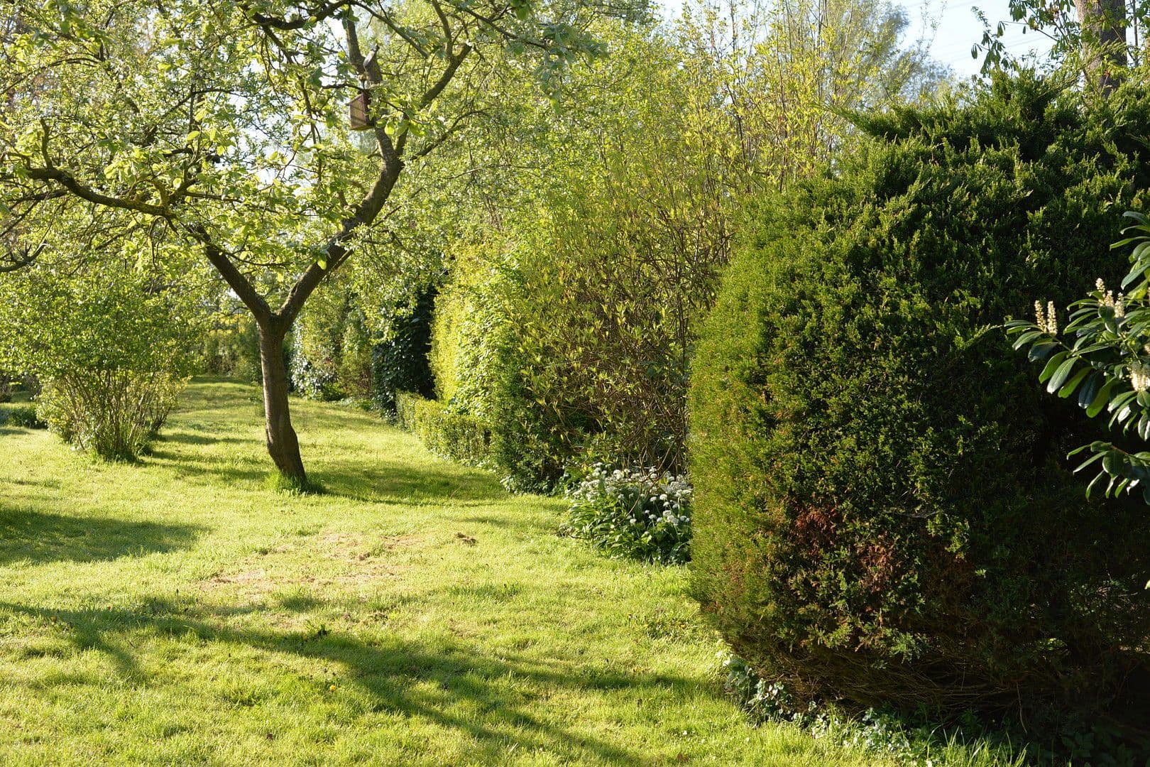 Predaj domu 188 m², pozemek 6.000 m², Bahrenfleth, Šlezvicko-Holštajnsko Predaj domu 188 m², pozemek 6.000 m², Bahrenfleth, Šlezvicko-Holštajnsko