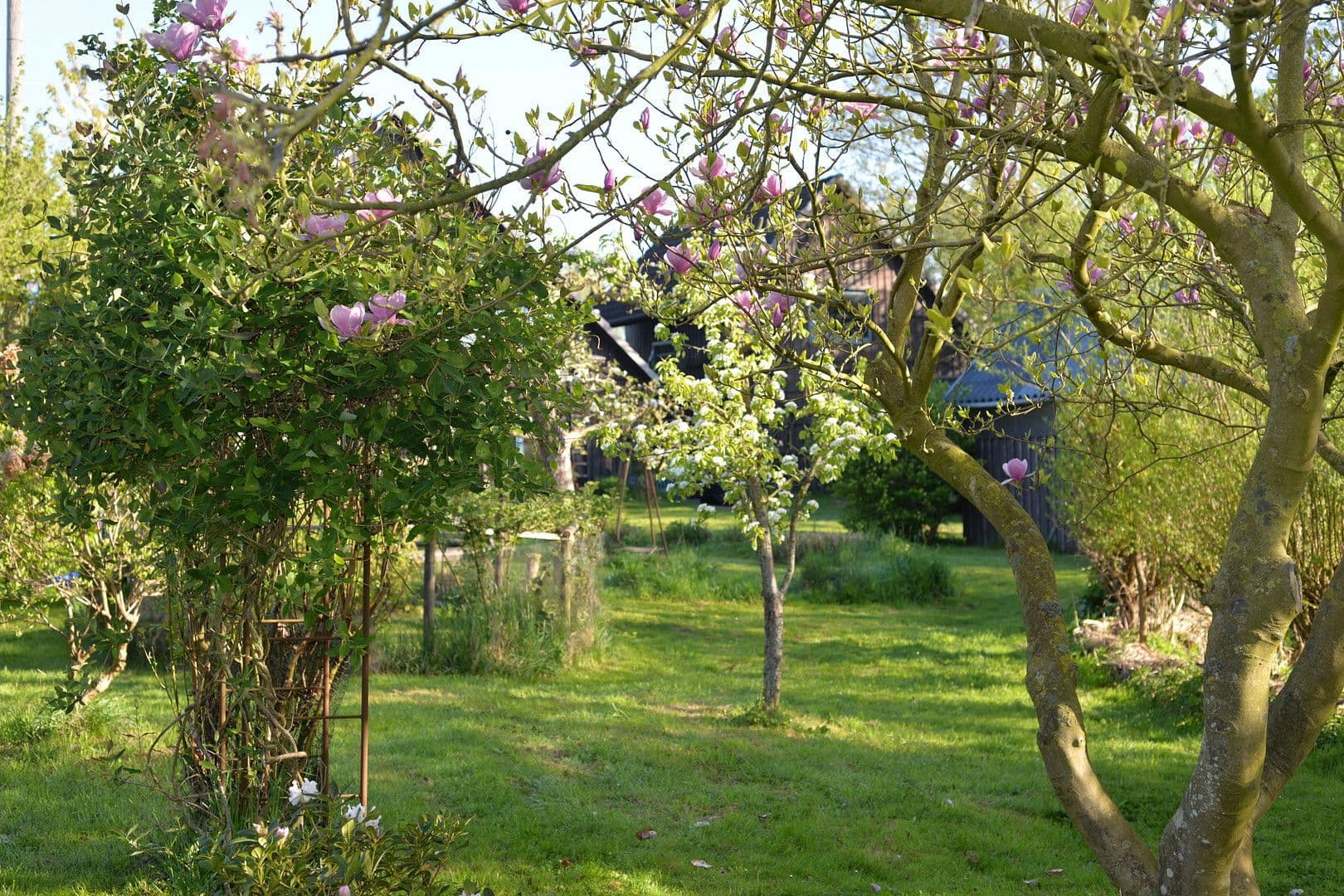 Predaj domu 188 m², pozemek 6.000 m², Bahrenfleth, Šlezvicko-Holštajnsko Predaj domu 188 m², pozemek 6.000 m², Bahrenfleth, Šlezvicko-Holštajnsko