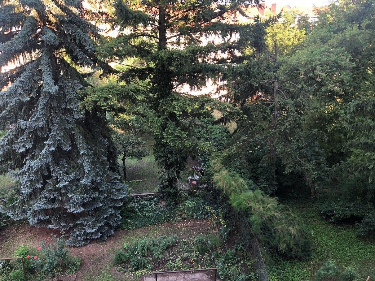 Prenájom bytu 3-izbový 73 m², Jugoslávská, Brno, Jihomoravský kraj Prenájom bytu 3-izbový 73 m², Jugoslávská, Brno, Jihomoravský kraj