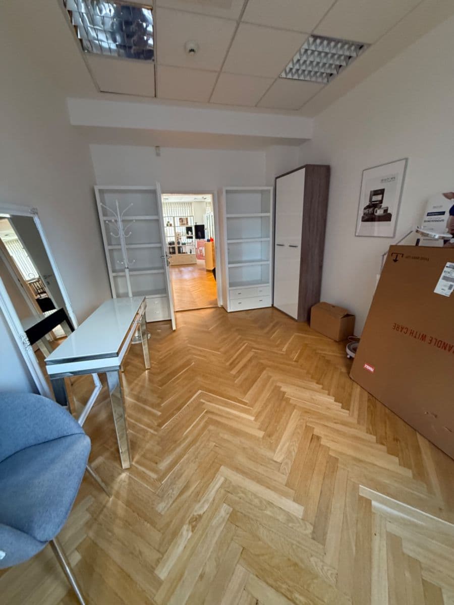 Prenájom nebytového priestoru 15 m², Na Příkopě, Praha, Praha Prenájom nebytového priestoru 15 m², Na Příkopě, Praha, Praha