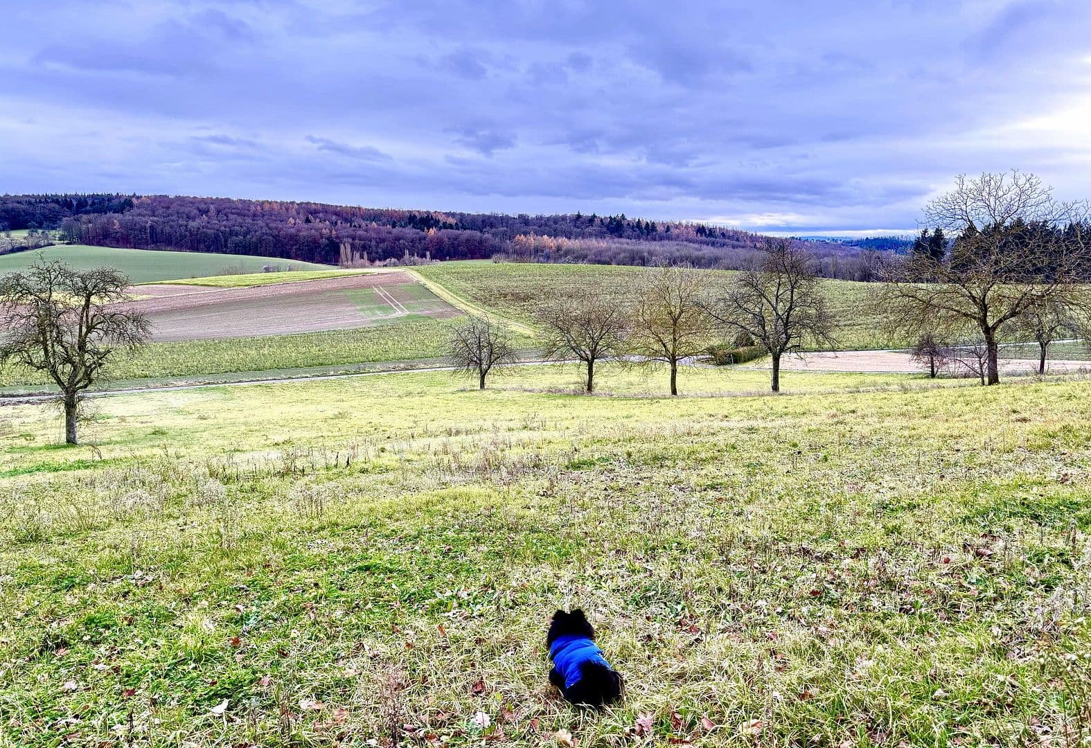 Prenájom bytu 3-izbový 89 m², Im Steinig 12, Kraichtal, Bádensko-Wurttembersko Prenájom bytu 3-izbový 89 m², Im Steinig 12, Kraichtal, Bádensko-Wurttembersko